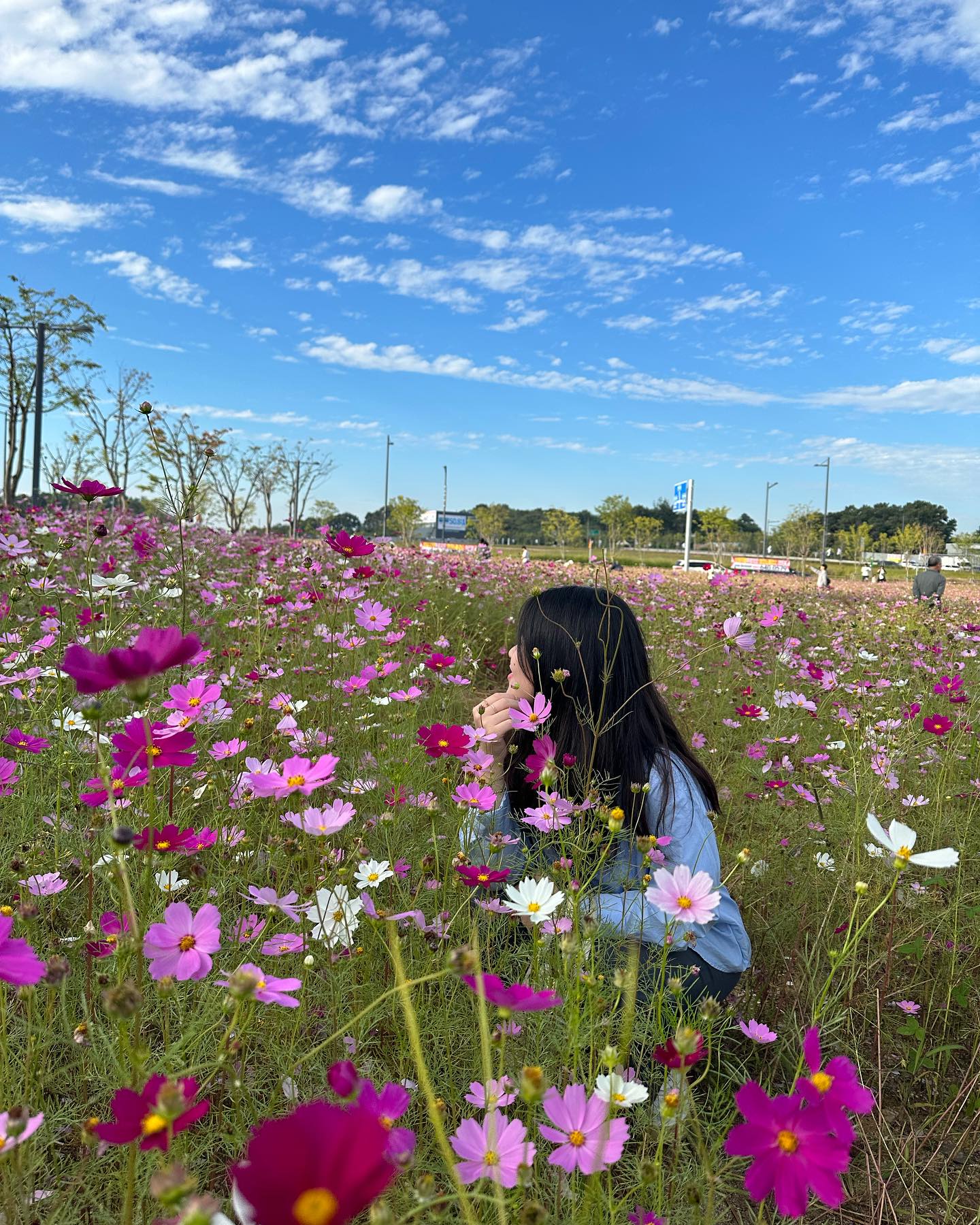 가을이왔어요🍂