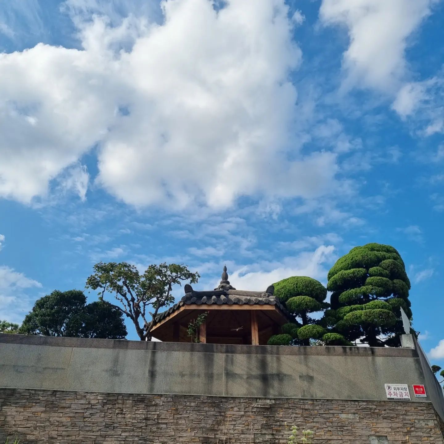 최근 눈에 오래 남은 한 컷 모음

#일상