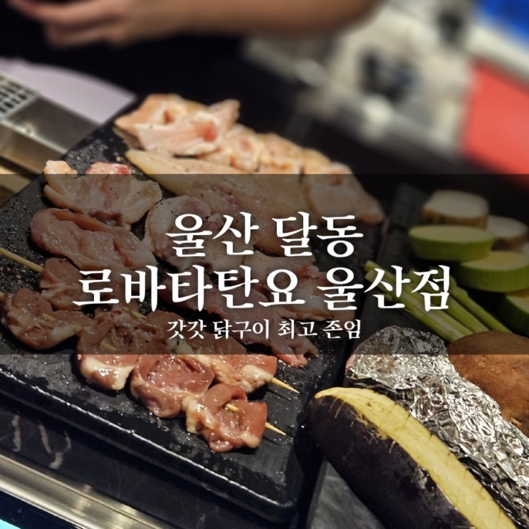 울산 달동 - 로바타탄요  | 이자카야 야키도리 로바타야키 닭구이 와우 이게 진짜 일본 맛집 갬성