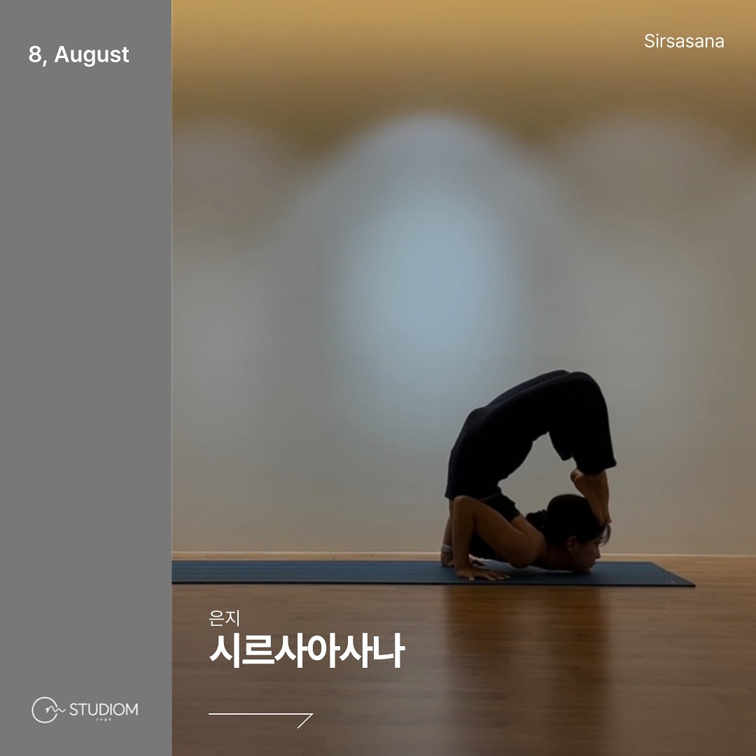 8월의 수업 주제 :: 시르사아사나 

유연하게 흔들리고, 기꺼이 넘어져보세요.
흔들리기 때문에 넘어지기 때문에
중심을 잡아가는 이유가 존재합니다.

매트 위에서 차곡히 쌓은 단단함이 
삶으로까지 연결되기를 바라요.

-

▫️8월을 머리서기 기초 완성반, 변형실전반으로 클래스가 오픈됩니다! 많은 관심 부탁드립니다.
▫️이른 여름 방학이 6월에 있었기에 8월에는 따로 여름방학이 없습니다! 언제든 오셔서 함께 흘러가요! 
▫️법정 공휴일 8월 15일 목요일, 하루 쉬어갑니다. 

-

iridescent.ej ♾️ yogastudiom_official