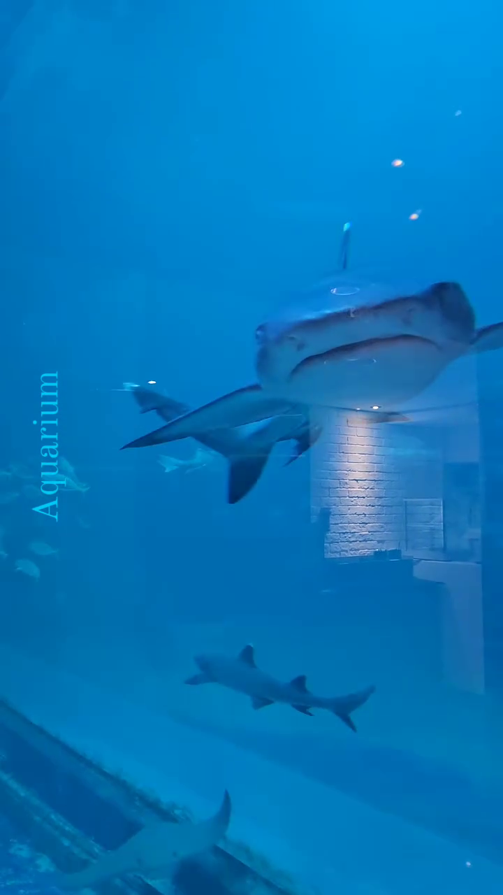 여수 질려 안가! 했는데.. 
행복했다 🌊💙