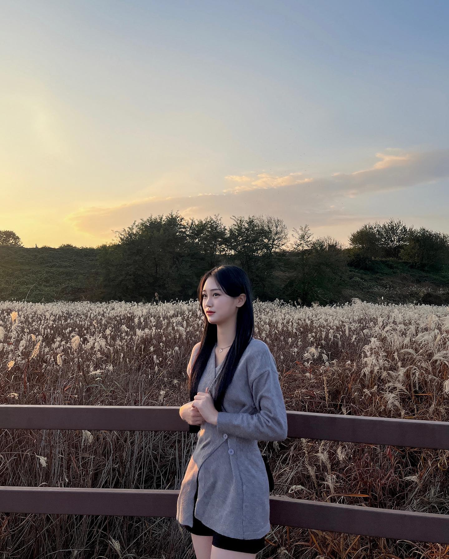 🌾🤎

#대명유수지 #달성습지 #억새밭