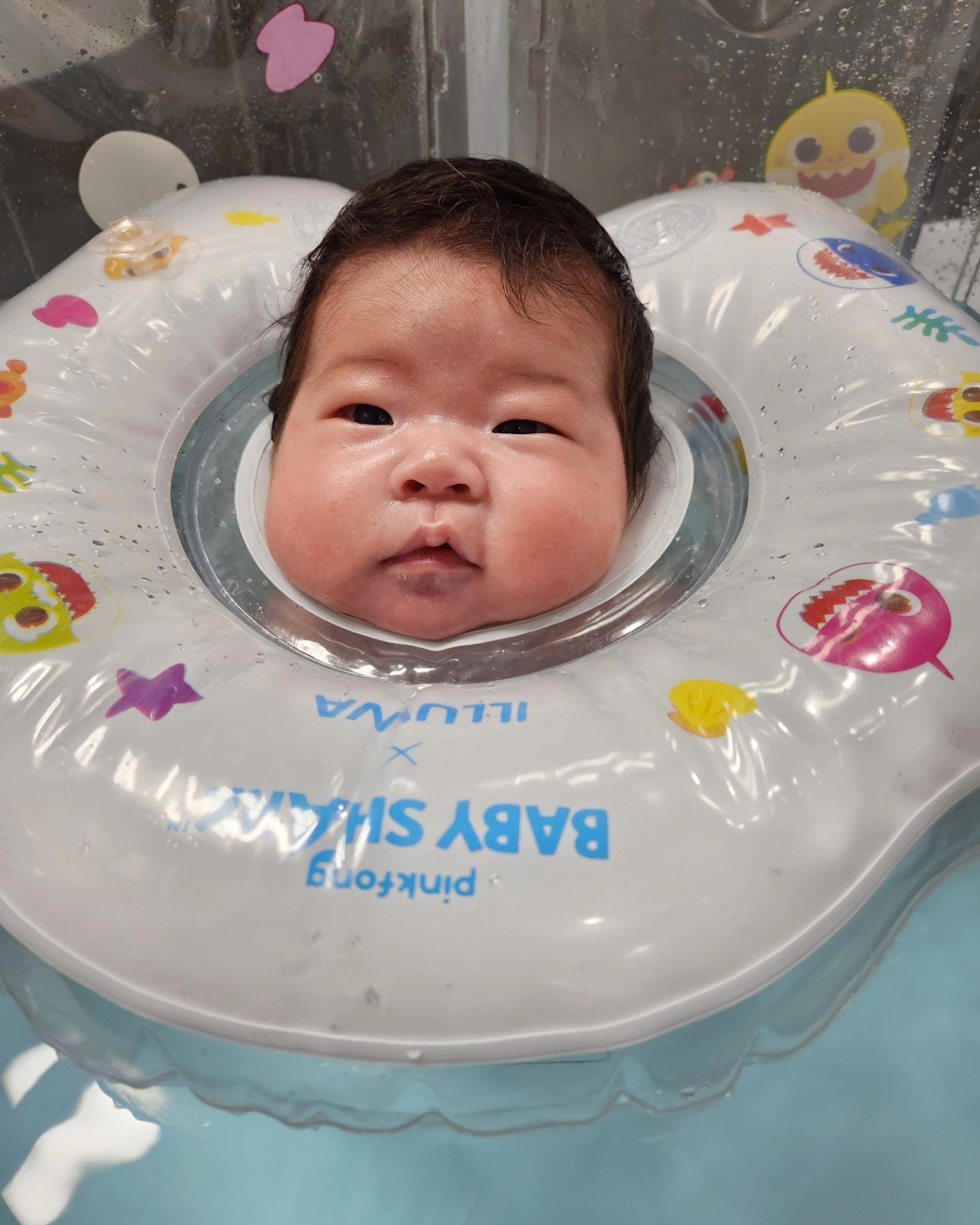 날씨 넘  좋아서 하영이 데꼬 나가려고,
유모차 꺼냇는데 피고 접는데 할 줄 몰라서 30분ㅋㅋ어찌어찌 출발 했는데 가는길에 집에 cctv 알람 울려서 보니까 호동이 하울링하고 난리남 ㅠㅠ 돌아가야되나 식은땀 줄줄 낫는데 괜찮아 져서 백화점 도착!! 유모차 피는데 또 30분 ㅋㅋㅋ 백화점 돌다가 집앞에 꽃이 너무 이뻐서 아빠랑 같이 한번 찰칵!!
우리 하영이 목욕 씻길라다가 수영장까지 해줫닼ㅋㅋ
오늘 하루 너뮤 피곤했는지 수영장에서 부터 코코넨네중!
.
.
.
#김포아울렛#김포현대#육아스타그램#아기수영장#아빠랑#엄마랑#데이트#곧#50일#촬영#쑥쑥크자#육아소통#소통해요#초보맘#통잠
