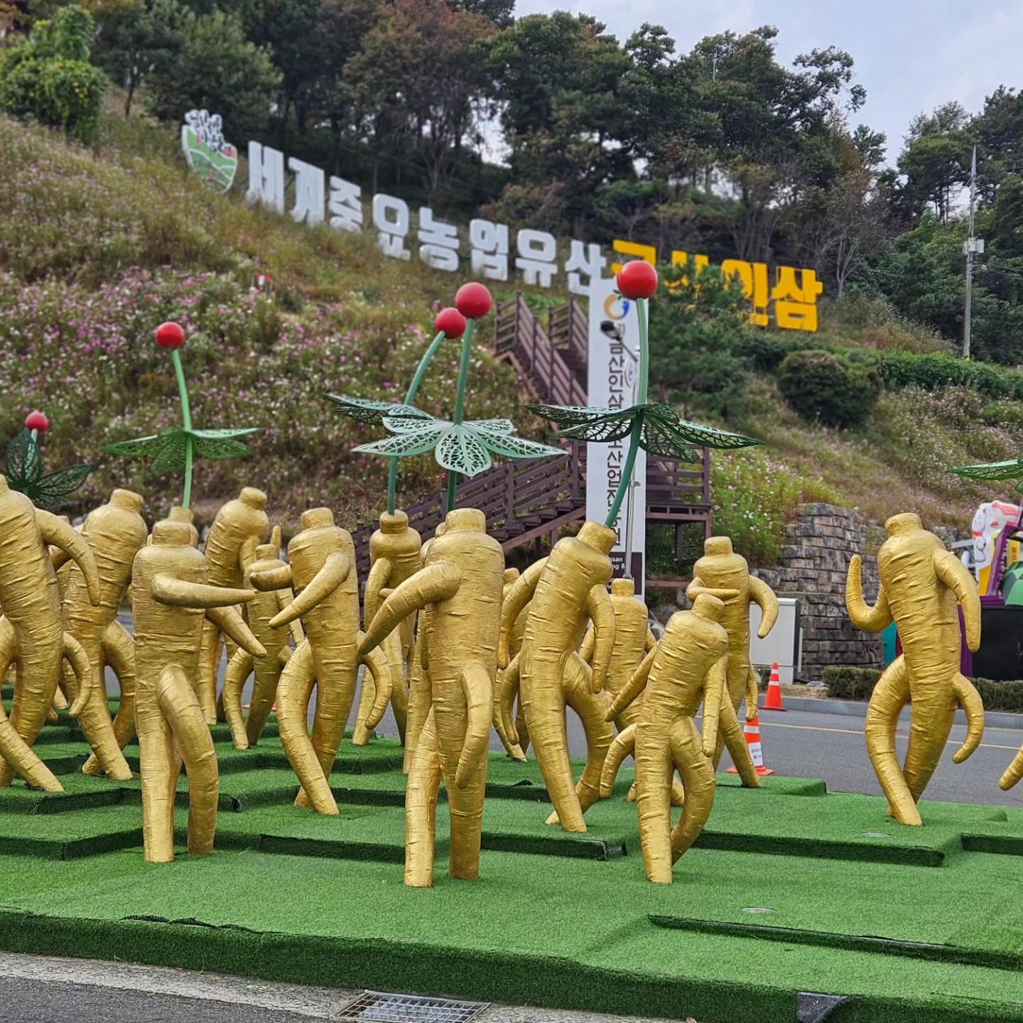 #금산 #금산인삼 #인삼축제 #금산인삼축제 #금산여행

금산인삼축제
야무지게 즐긴 사람 나야나

가자마자 인삼백숙 먹어주고
서예 체험가서 가훈 업데이트

인삼키링 만드는건데
난 우리쀼이니셜로다가🩷

두더지잡기 2회 도전 끝에
인삼 한 뿌리 득템

대형인삼주 마시고 헤롱헤롱한 상태로
30인 릴레이 인삼씨앗 옮기기
1점 차이로 이겨서 
인삼 한 뿌리 득템

인삼캐고 인삼청 만들기까지ㅋㅋ

세상 알찬 하루
❤️‍🔥❤️‍🔥❤️‍🔥❤️‍🔥❤️‍🔥