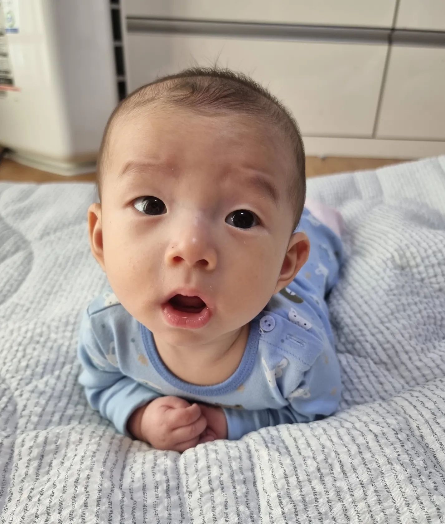#새로운시선 #뒤집기

뒤집기 성공하더니 계속 엎드려있는 온이.
새로운 시선으로 보는게 좋은가 보다😊

#루아네 #루루남매 #루블리 #루아엘온 #삼남매 #다둥이네 #셋째맘 #다둥이맘 #예쁜아기 #육아일기 #육아일상 #육아기록 #육아브이로그 #육아공유 #육아소통