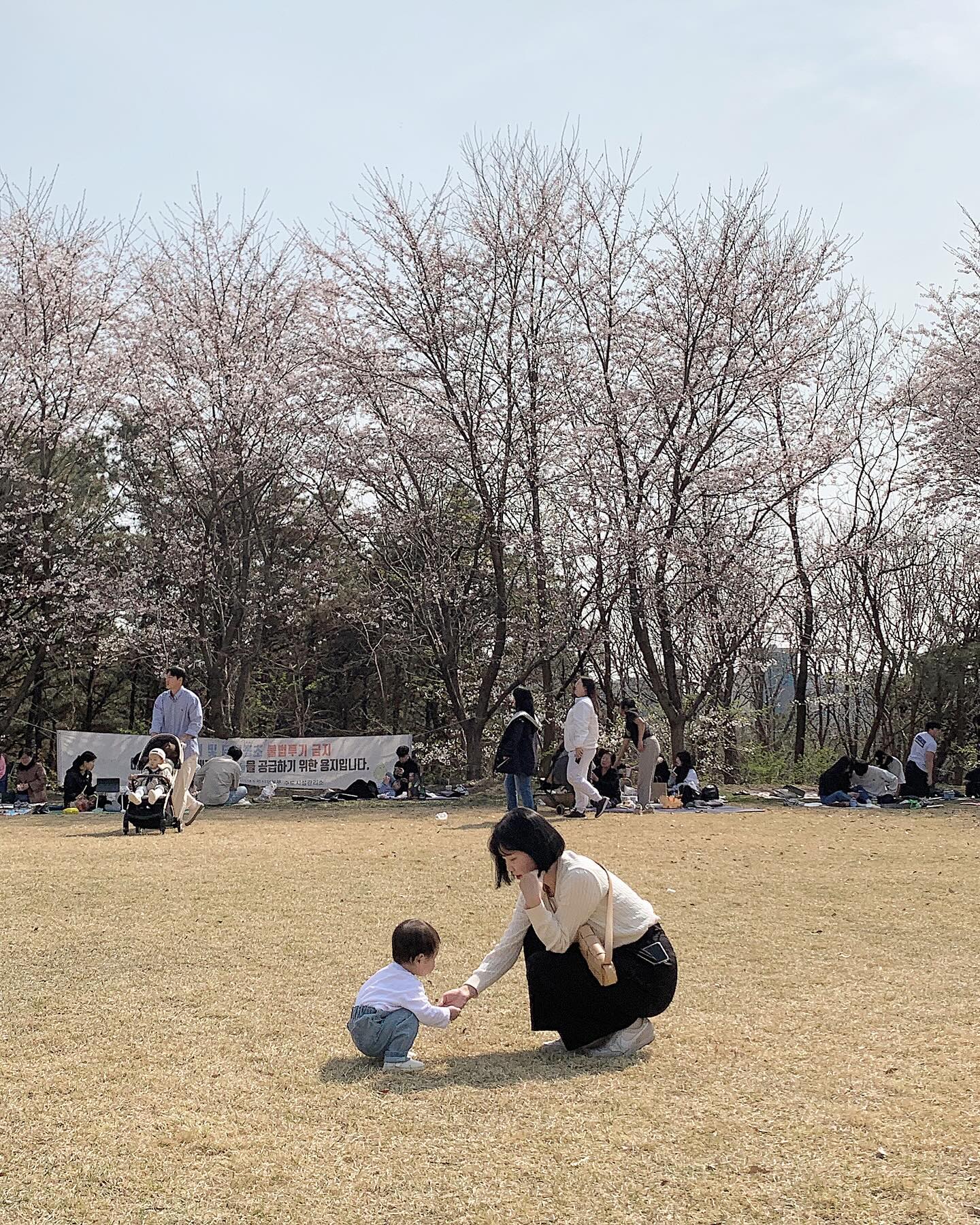 은서의 두번째 봄🌸🌸🌸

#아기랑벚꽃 #봄날 #벚꽃놀이 #주말기록