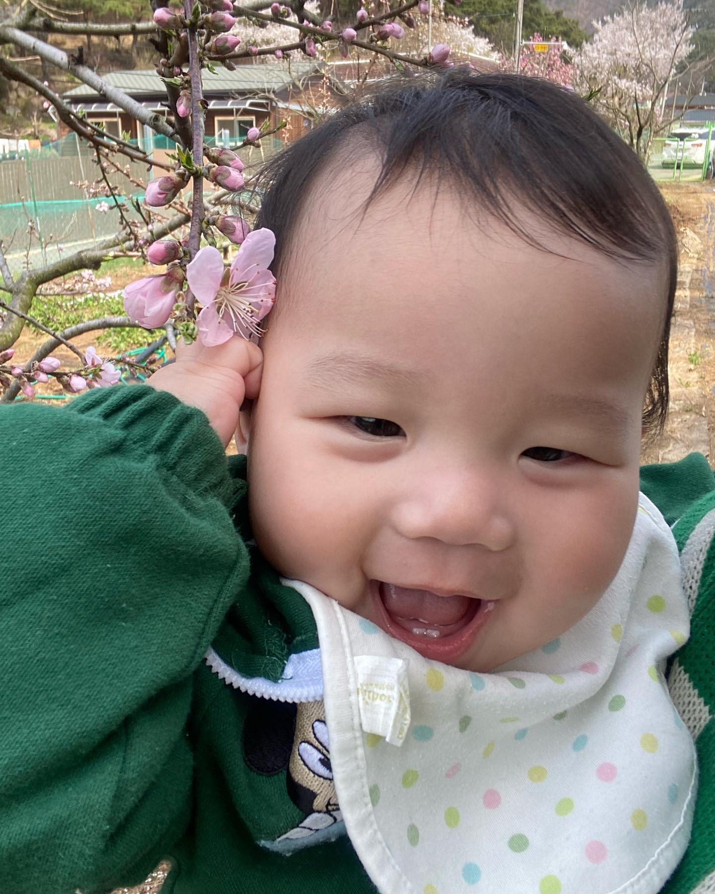 안넝 난 거니라고해
여자 아니구 남자야😏ㅋ
취미는 소리지르기, 침흘리기 , 눈웃음
나의 쌀알미소에 빠지면 헤어나오기 힘드러
조심하라구 👶🏻
#할매밭 #복숭아꽃 #ㅋㅋㅋㅋㅋㅋㅋㅋㅋㅋㅋㅋ