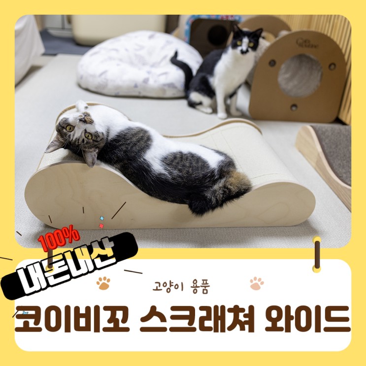 코이비꼬 평판 카펫 스크래쳐 와이드형이 나왔어요!!굴곡을 좋아하는 냥이가 찾던 바로 그 스크래쳐!!