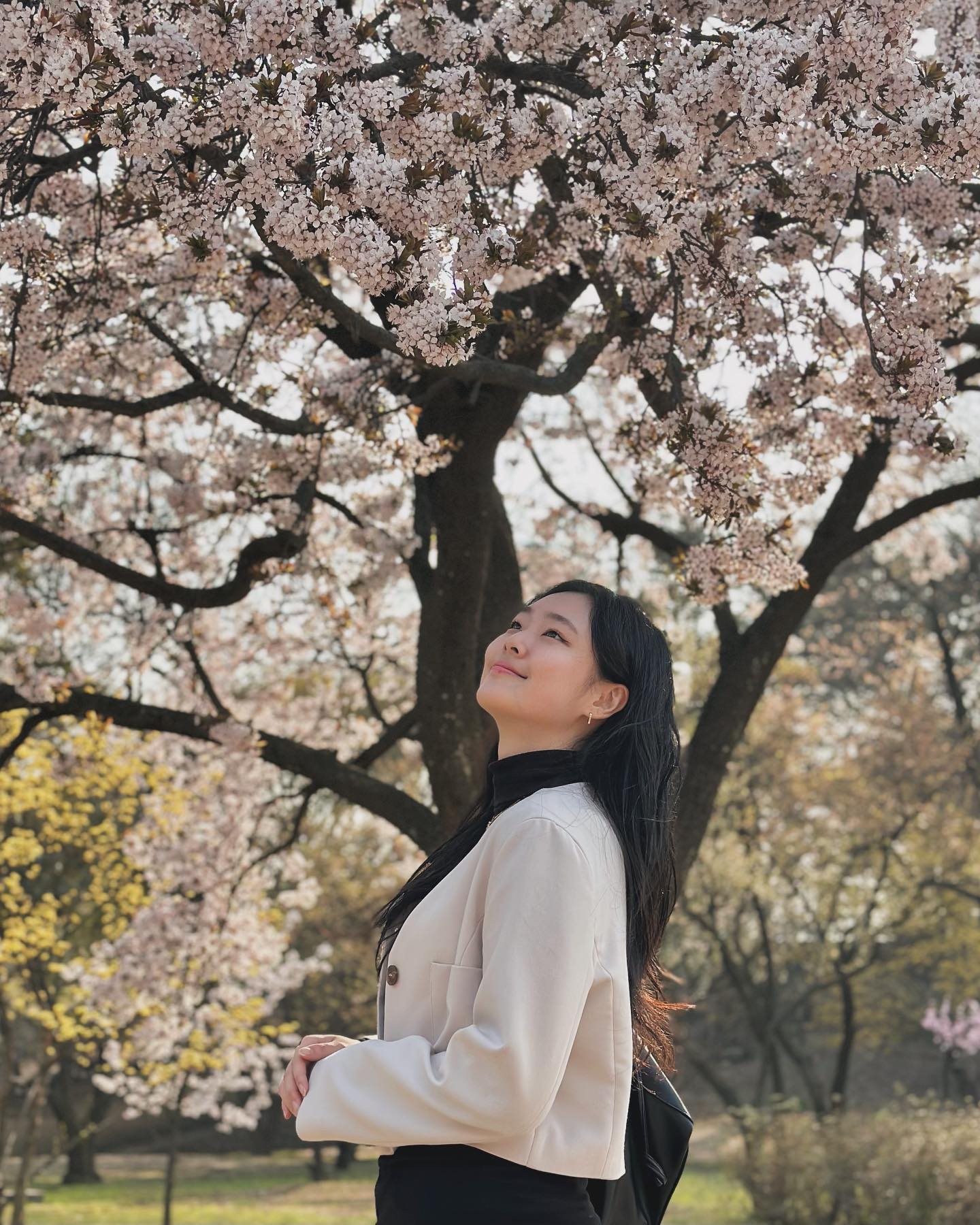 봄꽃 한 줌🌸