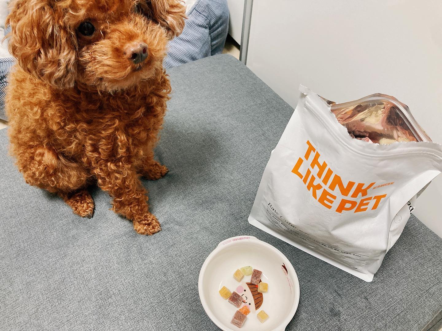 #협찬 thinklikepet #큐브생식 #봉지째와르르
이번에는 큐브 모양으로 되어 있는 생식 급여!
큐브형이라 따로 섞어주지 않아도 되고
간식처럼 토핑처럼 얹어주면 되니까
간편함 +1점
기호성 +1점
영양 +1점
비쥬얼 +1점
대용량 +1점

5점 만점에 5점 줄 수 있는 생식 사료~
#강아지생식 #씽크라이크펫 #강아지자연식 #강아지보양식 #강아지사료 #노령견사료 #신상품나왔을땐 #08L