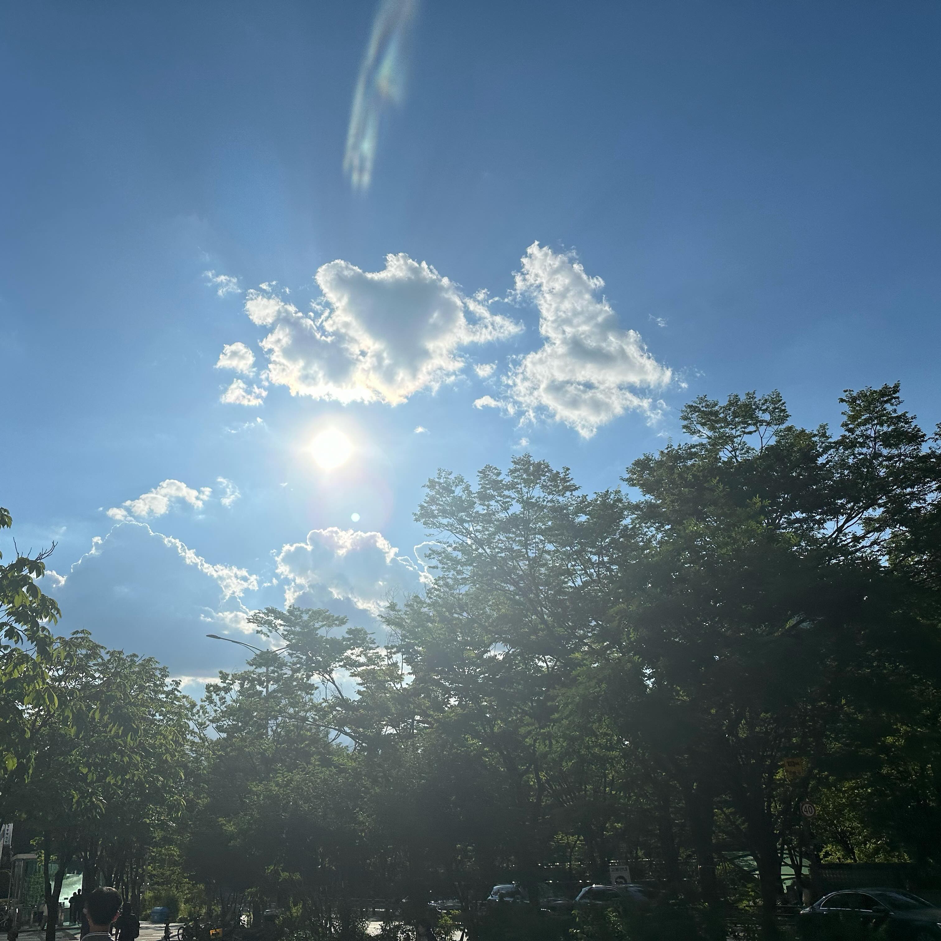 아주예쁨 ☁️☀️🩵

#☁️ #🩵 #☀️
#더위조심 😊