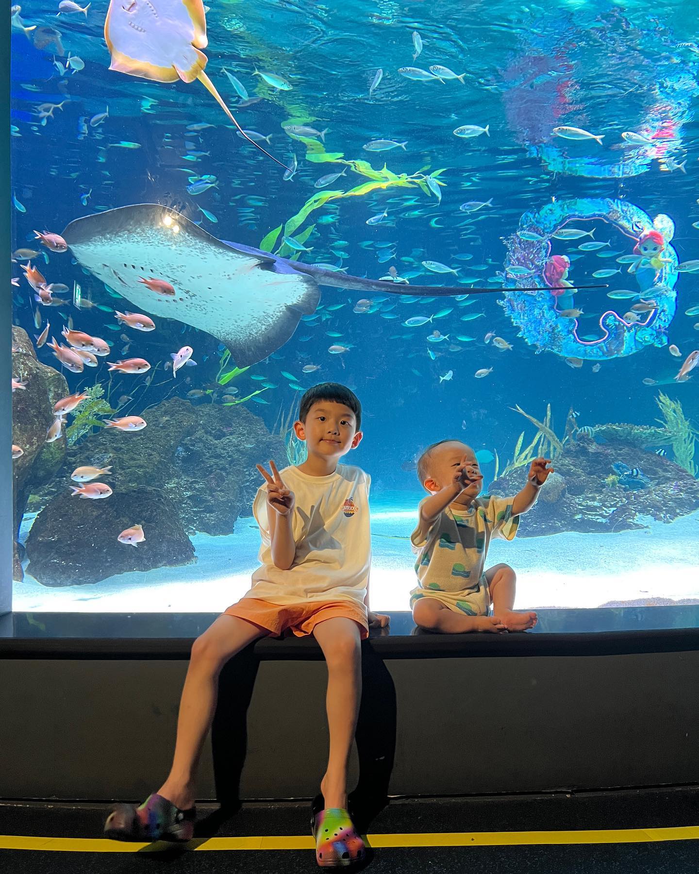 :-)
은우네 방학스타뜨🩵
이안이 첫번째생일 축하해주고 함께온 아쿠아플라넷🐬

진심 사람반 물고기반이었지만 스템프투어 슬러쉬 기념주화 인어공주 포기할수없지🫶

이안이 얼른커서 형아랑 또 놀러가자-!
.
.
.
#아쿠아플라넷63 
#인어공주쇼 #머메이드쇼