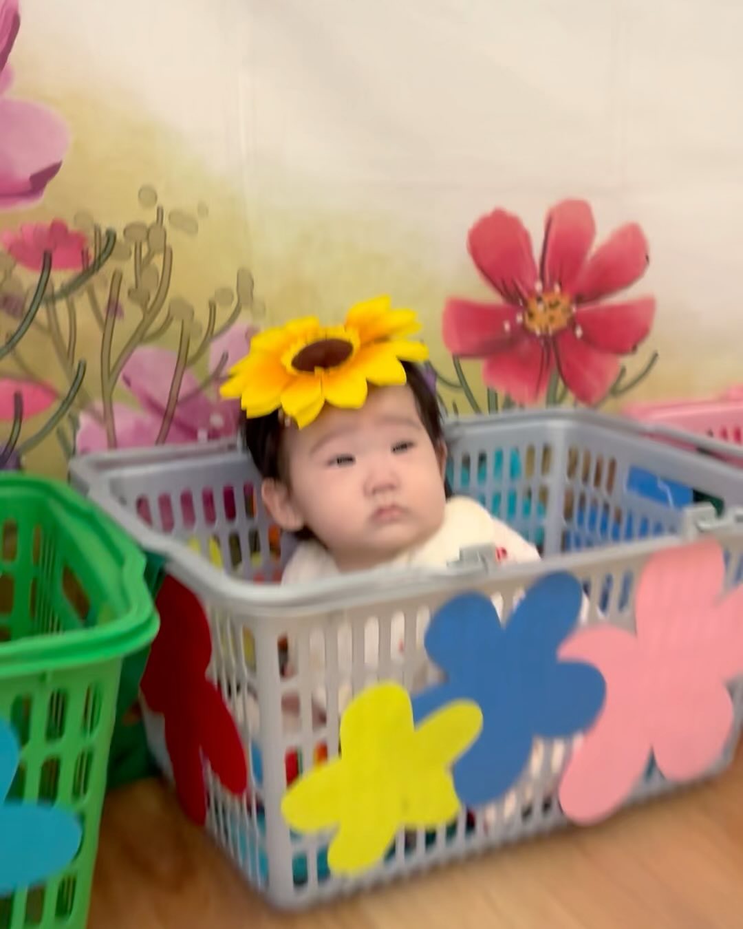 수아의 첫 #문센 데뷔👶🏻🤍
아직 혼자 앉지못하는 아기와 #문화센터수업 가면 엄마가 너무 힘들다고해서 앉고나서 천천히 가려고했거든요.

그런데 구강기인 수아가 이것저것 만지고 빨고 싶어하는데 수아가 탐색할수있는건 한계가 있고, 늘 제지하기도 미안해서 결국 문센을 등록했어요. 🙄

선생님의 화려한수업(?)과 여러가지 신기한 교구들, 수아보다 한두달 빠른 또래친구들이 앉고 기고 하는것들이 모두 수아한테 신기한 자극인지 수업내내 눈이 동그래져서 푹 빠져있더라구요😳 

집에있는 어른 물건들은 소독이 안된것들이라 못빨게했는데 그 은박지가 집에있는거보다 더 더러울거같은데 질겅질겅..😨 

그..그래도 수아의 새로운 경험을 위해 엄마가 좀 관대해져볼게… 수업 재밌게듣쟈!! 수아의 첫 사회생활 축하해😍❤️

#더현대서울 #CH1985 
#문센 #7개월아기