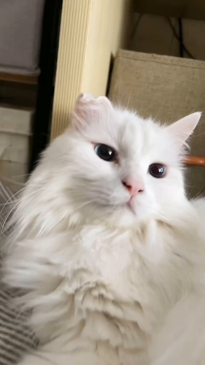 ㄱㅇㅇ