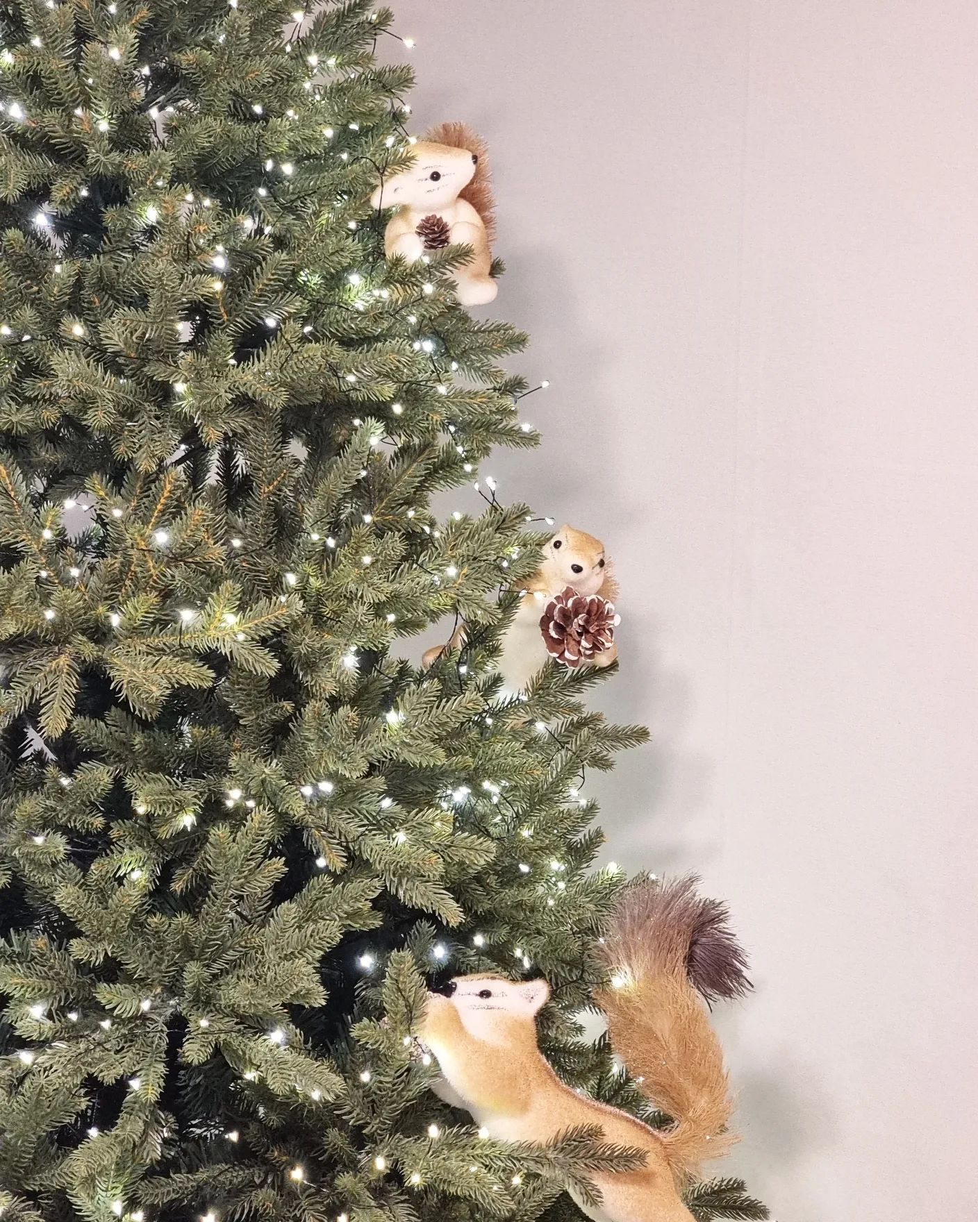 🐿🤎

날씨가 너무나 추워요 ˃︿˂⸒⸒

반짝반짝 트리 보면서, 따뜻한 차 마시면서
마음도 몸도 따뜻하게 보내요 ᜊ

.
.
.
#밈미홈 #겨울
#크리스마스 #인테리어 #일상