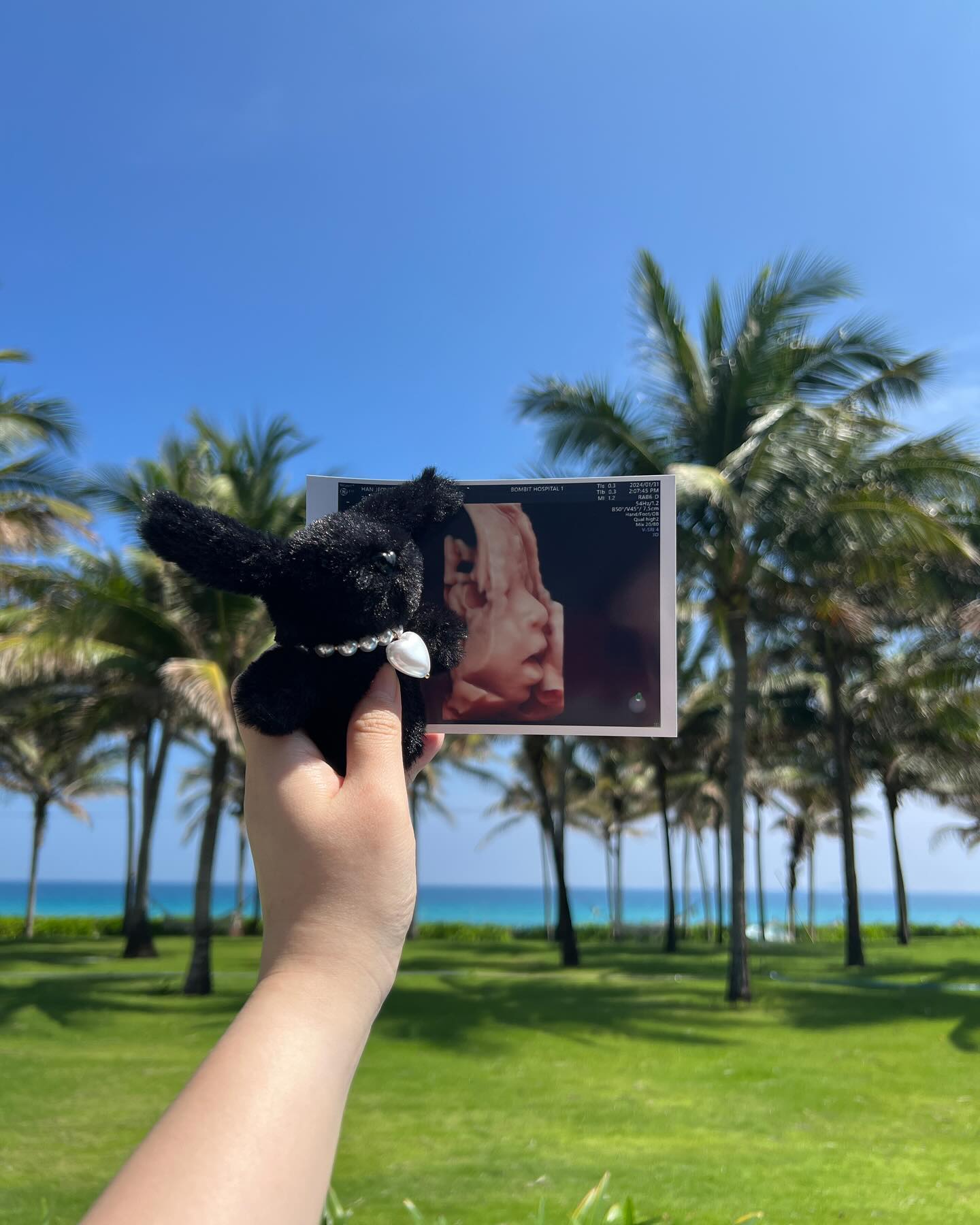 🌴🤰🏻✨
_
#27w2d #태교여행 이라 쓰고 📝
더구와 또 언제 갈 지 모르는 둘만의 오붓한 여행이라 읽는ㄷr
_
뿡빵(=붕어빵👧🏻)이 입체춈파 사진 들고 추억 남기기♥*+•.
tmi. 콧대 오똑하다고 의사쌤이 인정해주심 ͙ᐟ 
_
#나트랑 #나트랑태교여행 #모벤픽 ✈️🤍