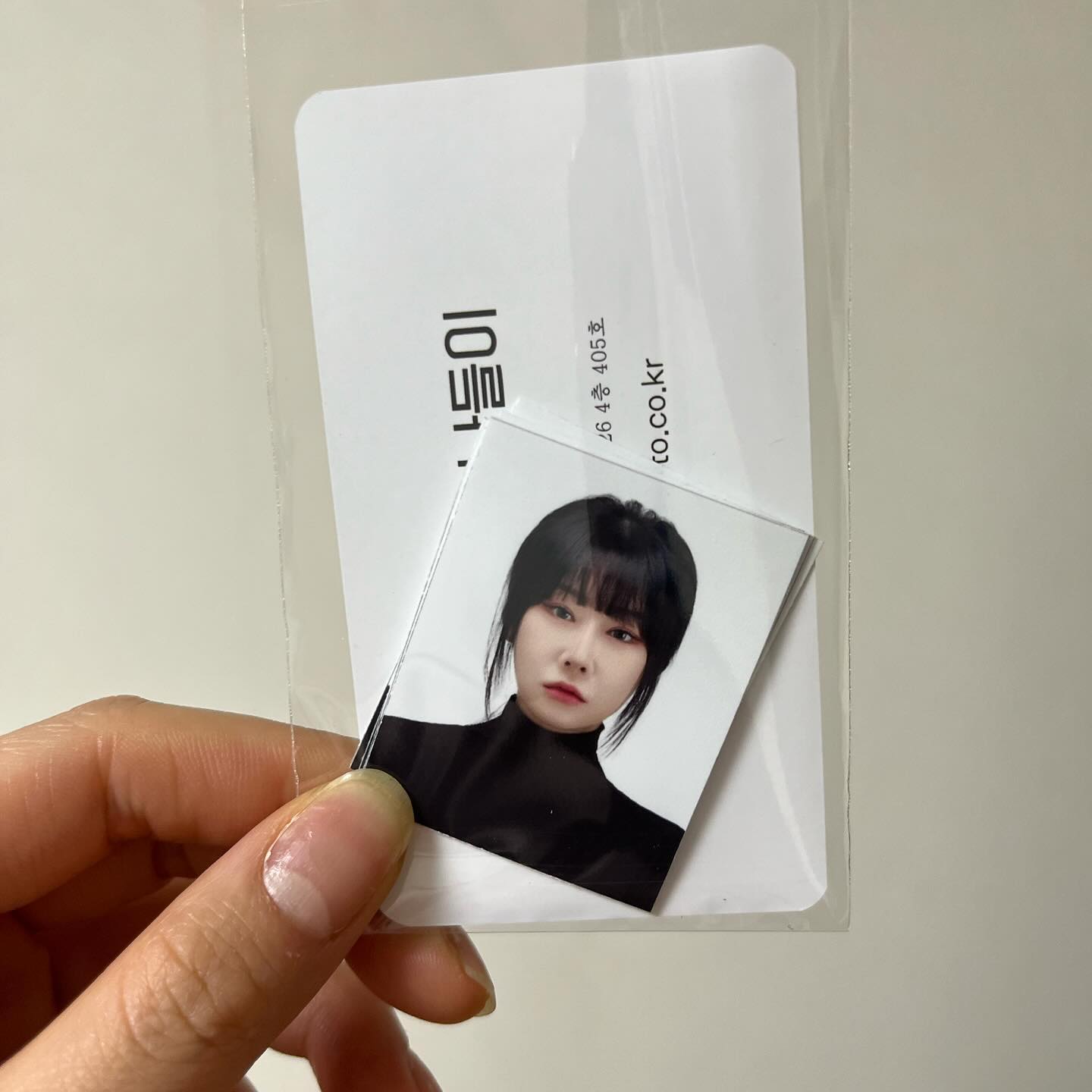 백만년만 증명사진