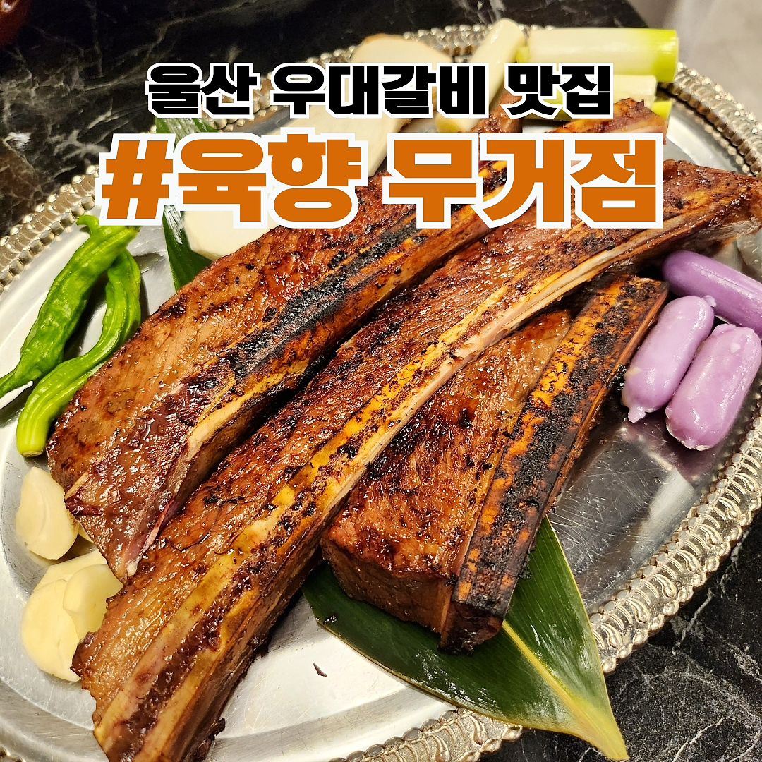 #협찬 #육향무거점

🍖짚불구이 우대갈비 전문점 #육향

처음부터 끝까지 직원분들이 직접 구워주셔서 너무 편하고 더 맛있어요

[우대갈비 1인 27,000원]
부드럽고 육즙 퐝퐝 
우대갈비 진짜 존맛👍
다양한 소스가 준비되어 있어 
다채로운 맛을 느낄 수 있어요

⭕️육향무거점에만 있는 우대갈비 무한리필
✔️우대갈비 무한리필 Aset 42,000원
✔️우대갈비 무한리필 Bset 45,000원
✔️초등학생 25,000원

넓고 깔끔한 실내공간으로 모임장소로도 좋아요‼️

📍상호 : 육향 무거점
📍전화 : 070-8621-9515
📍주소 : 울산 남구 대학로161번길 15 
📍영업 : 16:00~23:00
📍주차 : 지하주차장

#울산남구맛집#울산고기집#울산맛집#무거동맛집#울산갈비#울산데이트#울산가족회식#무거동고기집#무거동갈비#갈비맛집#우대갈비#울산가볼만한곳#울산남구고기집#울산현지인맛집