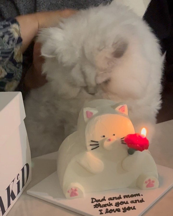 햅삐 어버이날 👨‍👩‍👧‍👧❤️

마지막은 사진이 마음에 든 아빠

#어버이날 #가정의달 #징기스 #레터링케이크 #고양이케이크