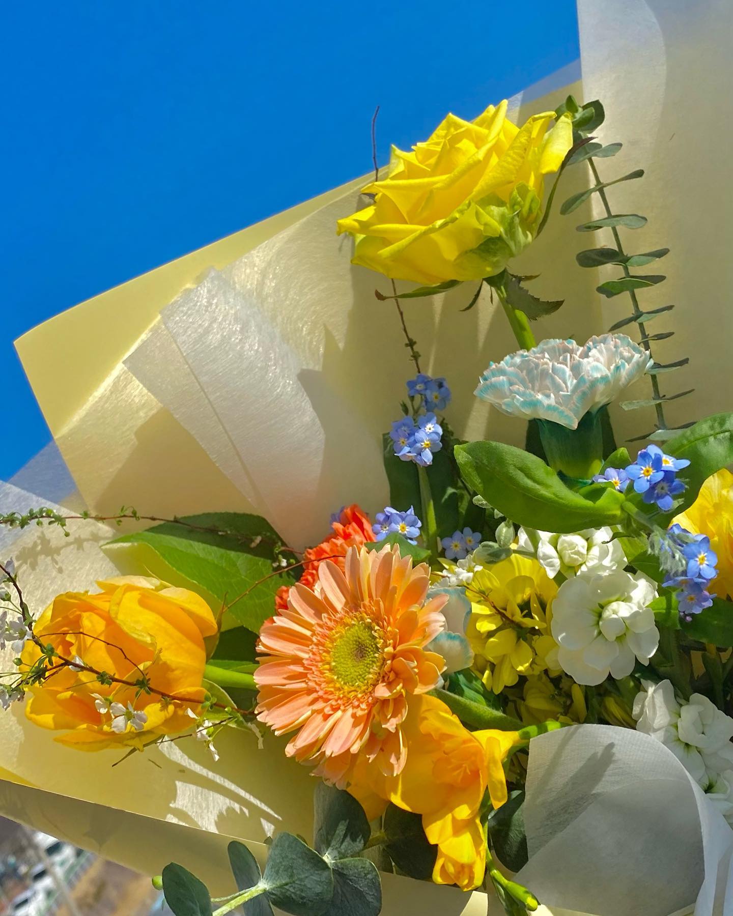 🎓💐

졸업한지 벌써일년◡̈