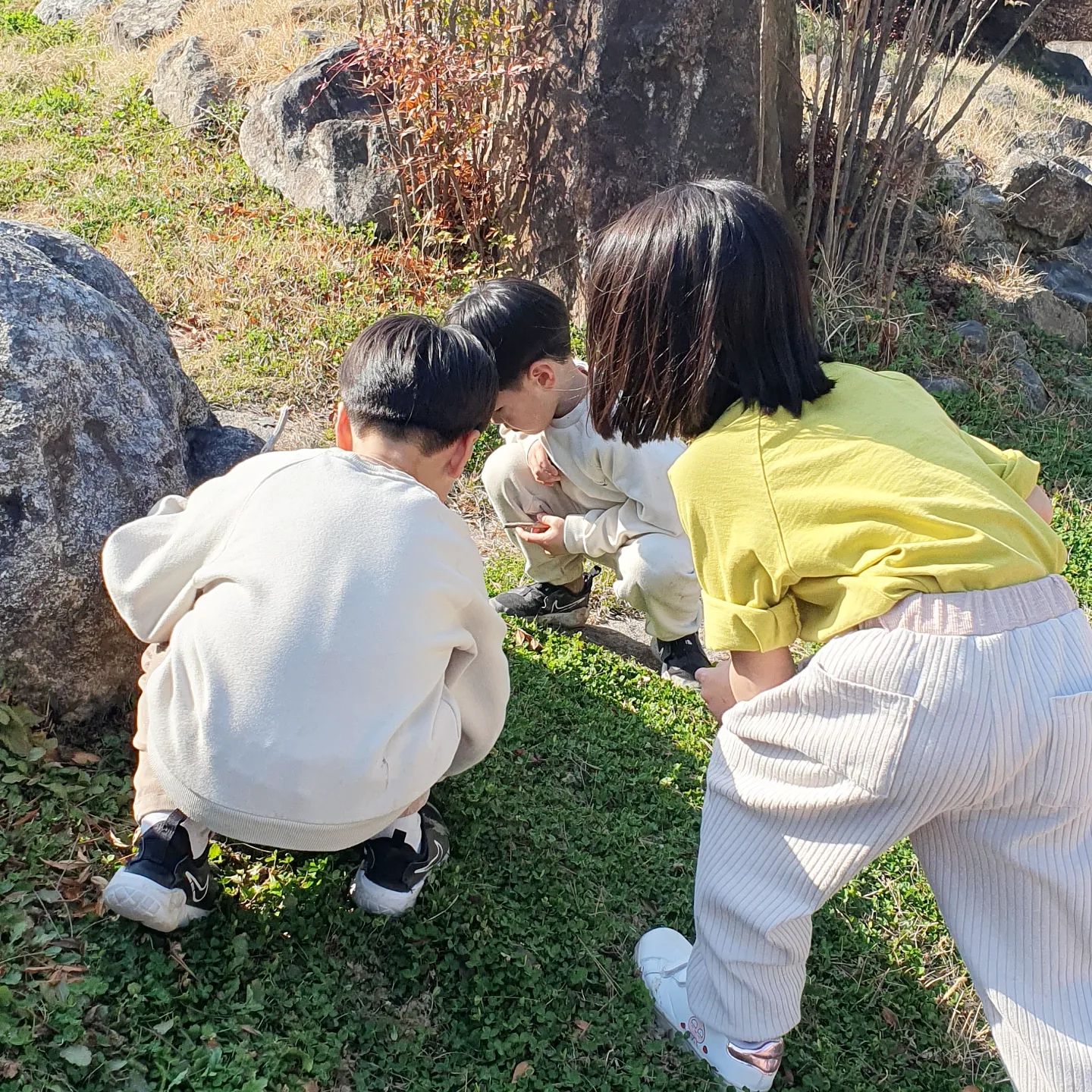 돌아온 시즌😆
(두꺼비 산란기)
긴 알끈에 싸여있는 게 특징인 두꺼비 알 발견!
.
(개구리알은 동글동글 한곳에 뭉쳐있고,
두꺼비 알은 아주 긴 투명 막 안에 있고,
도룡뇽 알은 얼핏 보면 두꺼비알과
비슷해 보이지만 두꺼비알보다 
투병 막이 조금 더 두껍고,길게 늘어지지 않고
둥글게 말려있는게 차이점!)
.
.
.
#두꺼비알#봄이오나봄