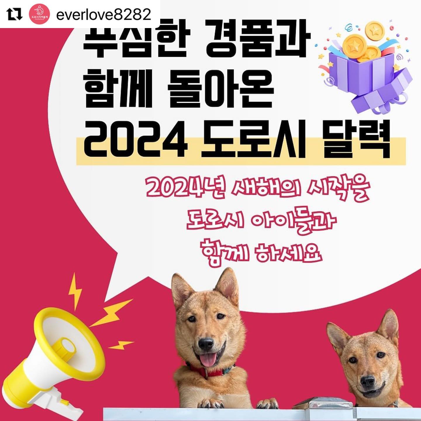 #Repost everlove8282 with use.repost
・・・
안녕하세요 도로시지켜줄개입니다.
이번 년도에도 빠질 수 없죠! 바로 도로시 아이들의 예쁜 모습을 담은 2024년 달력입니다😆 다들 많이 기다리셨을 거 같아요. 오래 기다리시게 한 만큼 더 많고 푸짐한 경품과 함께 돌아왔습니다!
입양이 확정된 아가들과 센터에서 평생 가족을 기다리고 있는 친구들의 모습을 담은 도로시만의 
달력입니다.🫰

#도로시지켜줄개 #도로시지켜줄개달력 #도로시2024년달력 #도로시늘봄센터 #사단법인도로시지켜줄개
#임시보호 #입양홍보 #시고르자브종 #믹스견#이동봉사#해외입양 #사지말고입양하세요 
#진도믹스 #꼬물이 #임보처구해요 #유기견 #인절미#아기강아지입양 #포인핸드 #입양  #유기견보호소