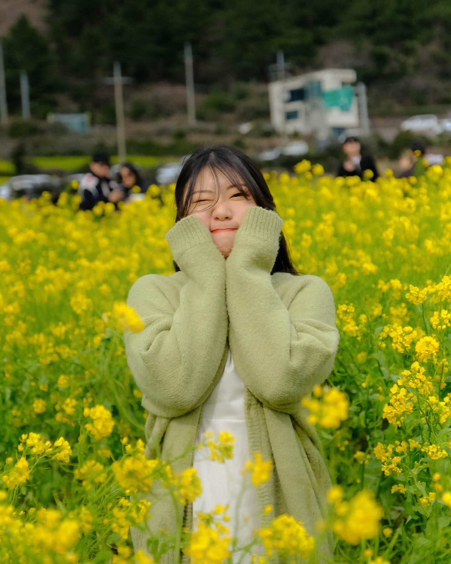 나트랑 사진 올리기 전에
부랴부랴 제주도 사진 올리기..=333

귀찮아서 매번 업로드 시기를 놓치는 나^^!!!
나의 이번 봄은 벚꽃보다 유채꽃이었다...🌼🌱

#제주도유채꽃 #산방산 #산방산유채꽃밭 #유채꽃
