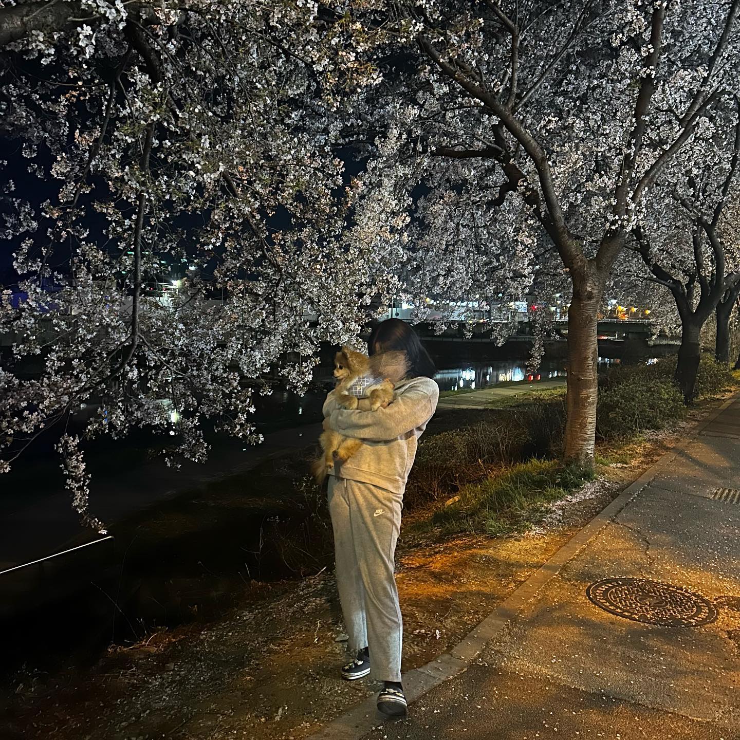 올해 벚꽃은 3명이서🩵

#벚꽃길 #우리가족 #👨‍👩‍👦 #포메라니안 #사진작가남자친구 #극한직업 #포메그램 #강아지일상 #좋반 #선팔하면맞팔 #데일리룩 #오오티디 #오운완 #퇴근길 #꽃놀이 #꽃구경 #신시가지  #반려인 #03년생 #00년생 #15년생 #followforfollowback #h4h #daliy #ootd