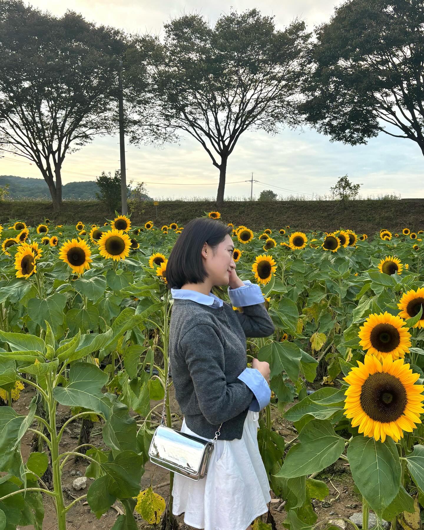 해가 져가니 해바라기😄🌻
.
.
#황룡강가을꽃축제 #황룡강노란꽃축제 #장성