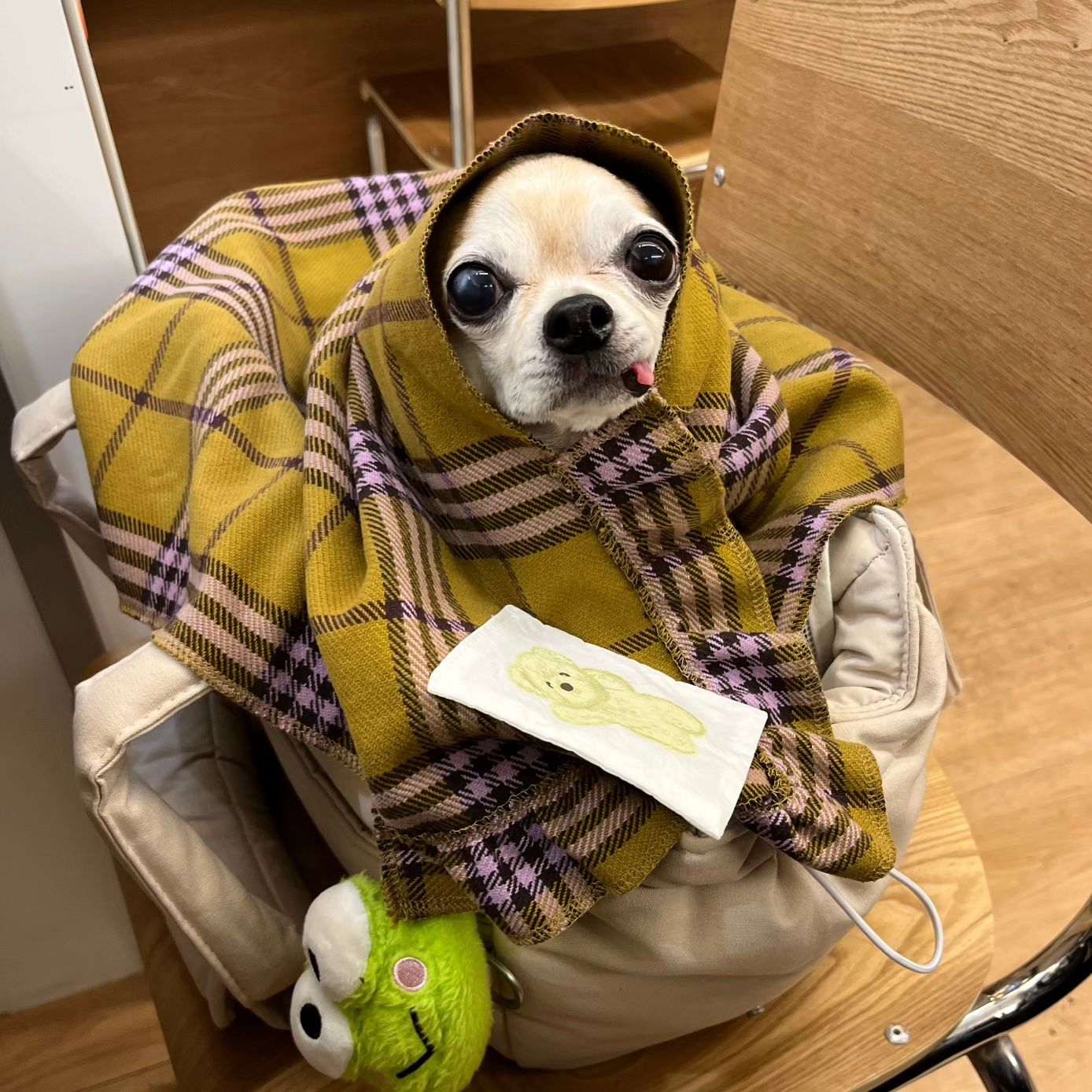 피드에 올리지 않은 일상이 한가드으윽..❤️
현생에 치여서 피드가 못올라갈뿐
감자는 변함없이 잘 지내요 히히🫶🏻
#연남동애견동반#홍대애견동반#쿠로코식당#코코로카라