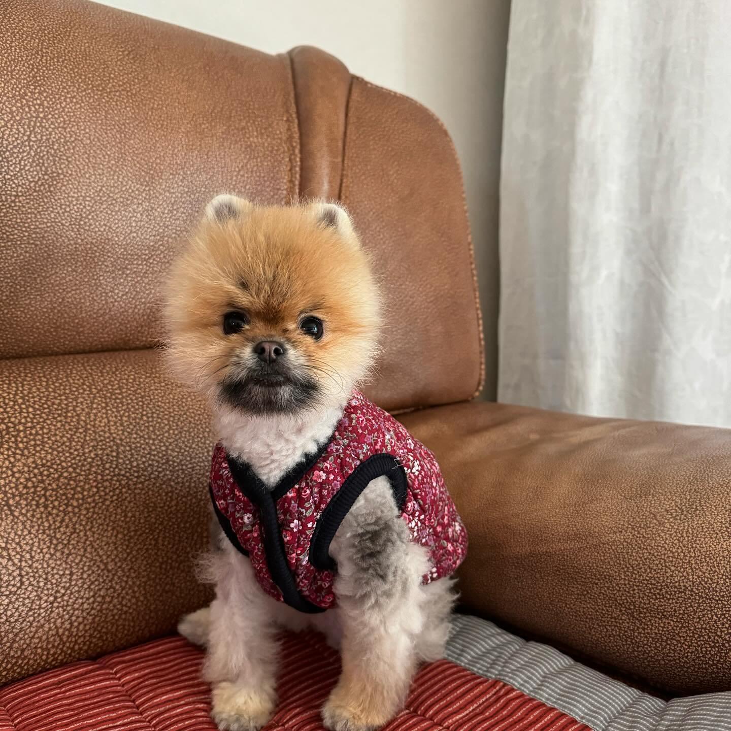 할미네서 룽지의 하루:)
낮잠 한숨도 못자고 주물러 터뜨려 진날
#김가네 #김장하는날 #🐻
