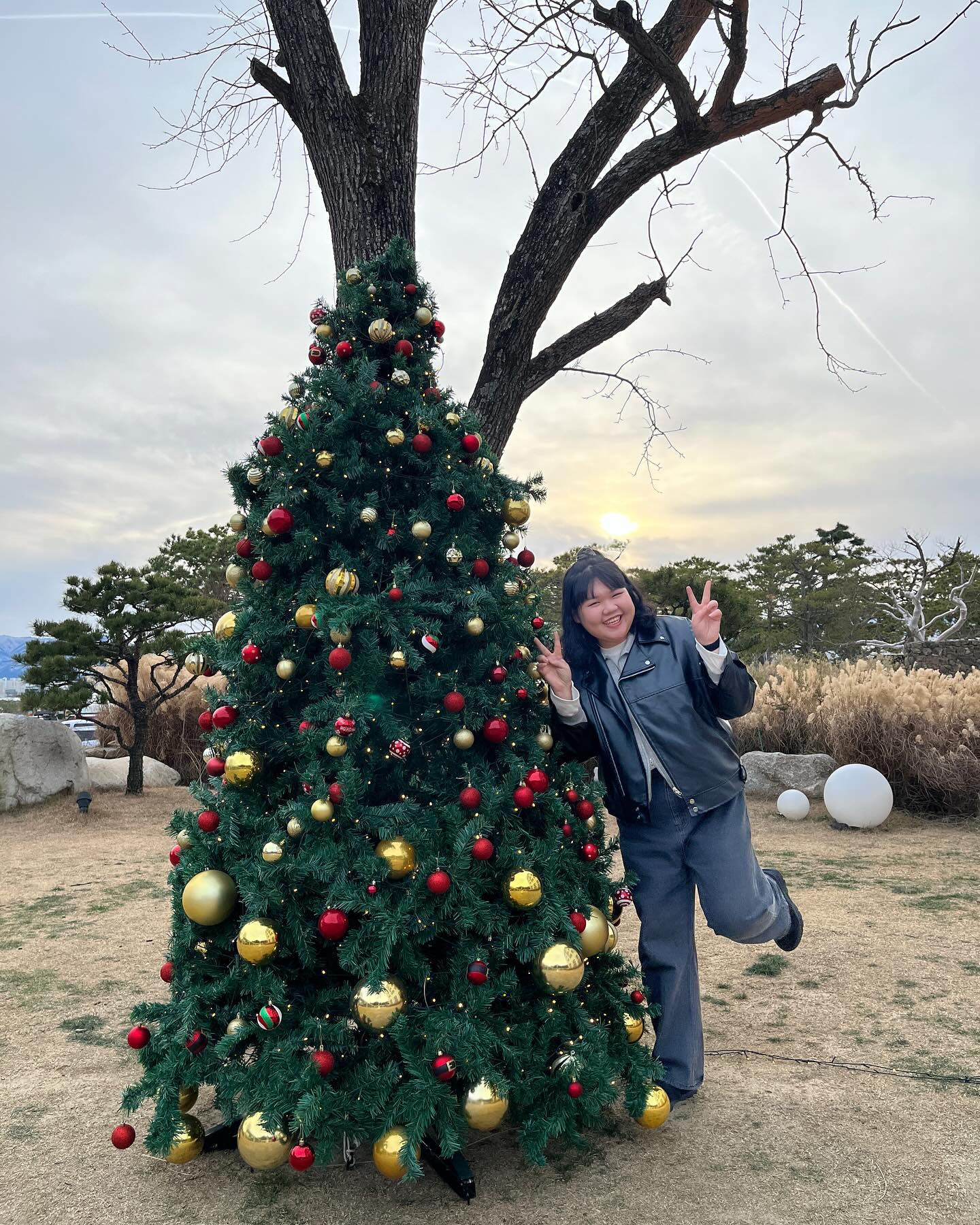 🎄