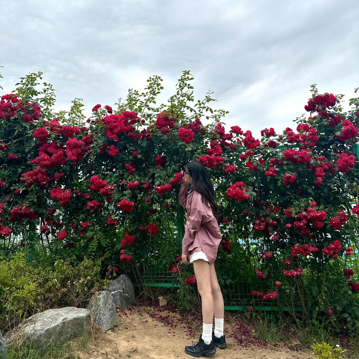 꽃 구경 실컷하고 온 날~ ㅎ