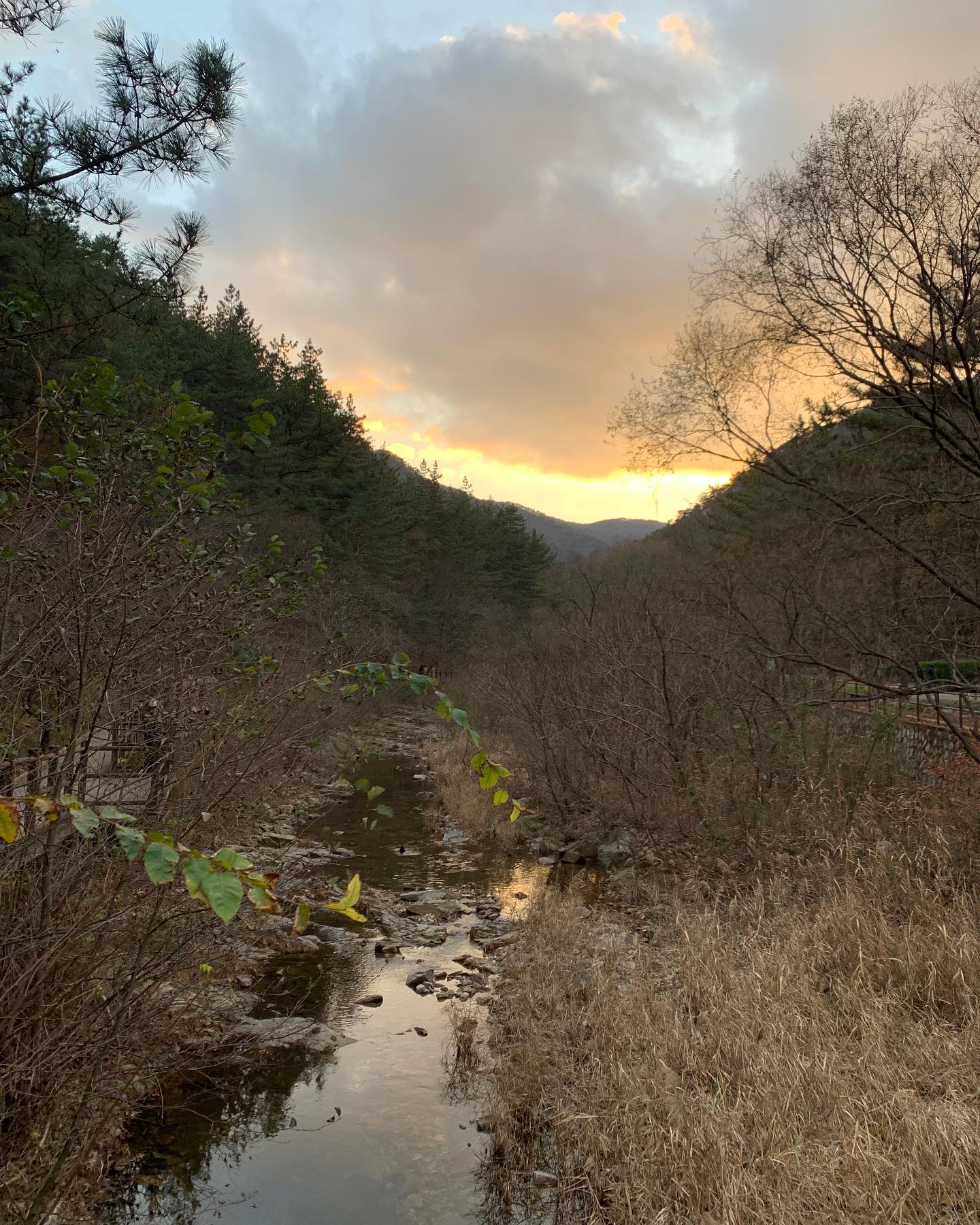 결이 오나보다
추워지니까 잘 먹어두장어