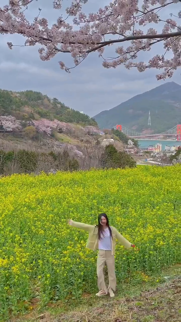 남해 여행 첫 코스로 추천🌼
다랭이마을보단 유채꽃밭이 크진 않지만
남해 초입부에 있어서 여행 첫 코스로
들리기 좋은 유채꽃 스팟이에요~!
꽃밭 뒤로는 노량대교가 보이고,
도로변에는 벚꽃나무길이 있어서
꽃구경하고 사진찍기 좋았어요☺
아직 유채꽃이 한창이니 꽃구경 하러 let's go!

🏷️ #노량공원 
▫️경남 남해군 설천면 노량리 210-1
▫나루터휴게소 찍고 가시면 주차 편리해요!

#남해유채꽃 #남해여행코스 #남해벚꽃
#여행릴스 #구플_남해