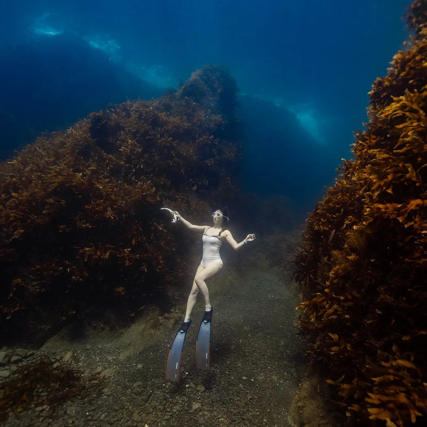 울릉도는 경이롭고 바다 속은 더 아름다운 곳
드디어 종기 투어 
#울릉도여행 #freediving