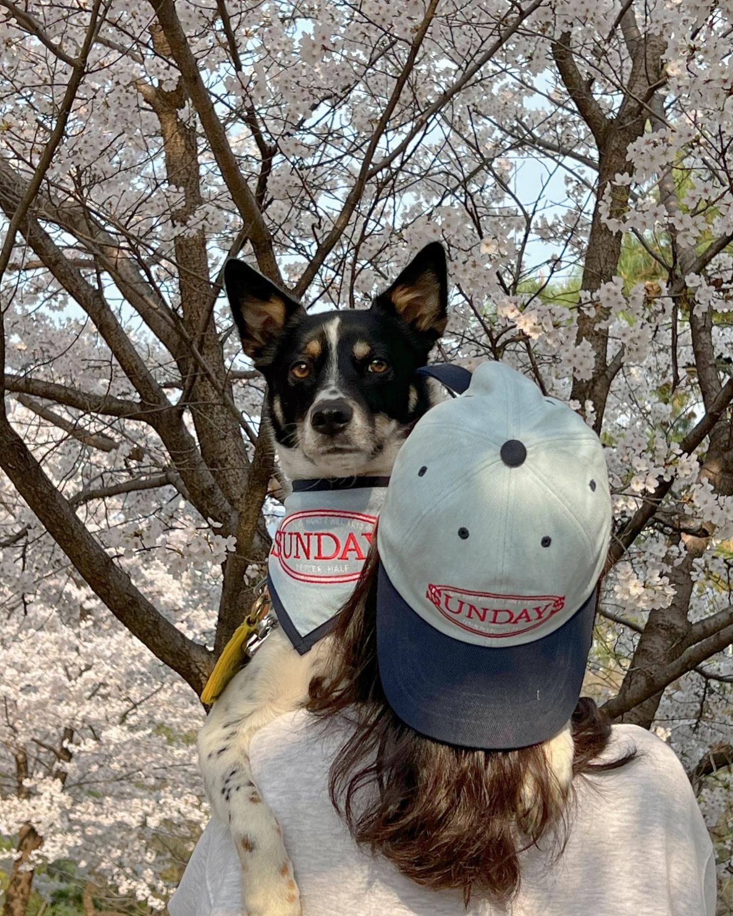 오늘은 벚꼬치다!!!🌸

누냐몬의 간만의 빠른 퇴근
이번주 지나면 못볼거같아서 호다닥 동네 한바쿠 돌았는데,, 평일 낮인데도 벚꽃핫플은 사람 왜케 많은겨 🙄 안핫플 집앞에서 한적하게 찍어버렷.. 근데 잘나와버렷.. 우리동네 좀 짱인듯

#봄에는
#벚꽃엔딩
#국룰