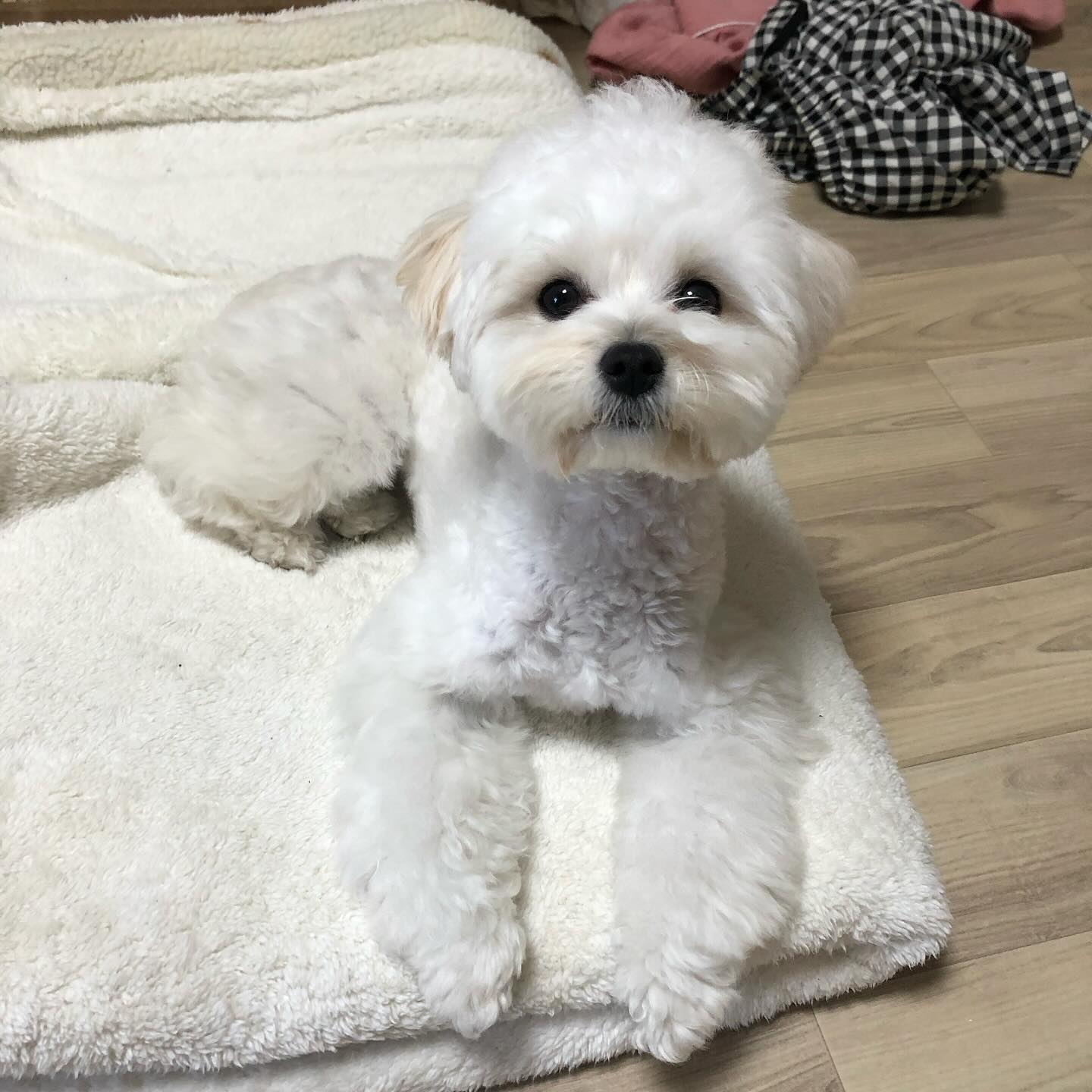 내 수명 절반 뚝 떼주고 싶다
너랑 나랑 같은 시간을 사는 거야