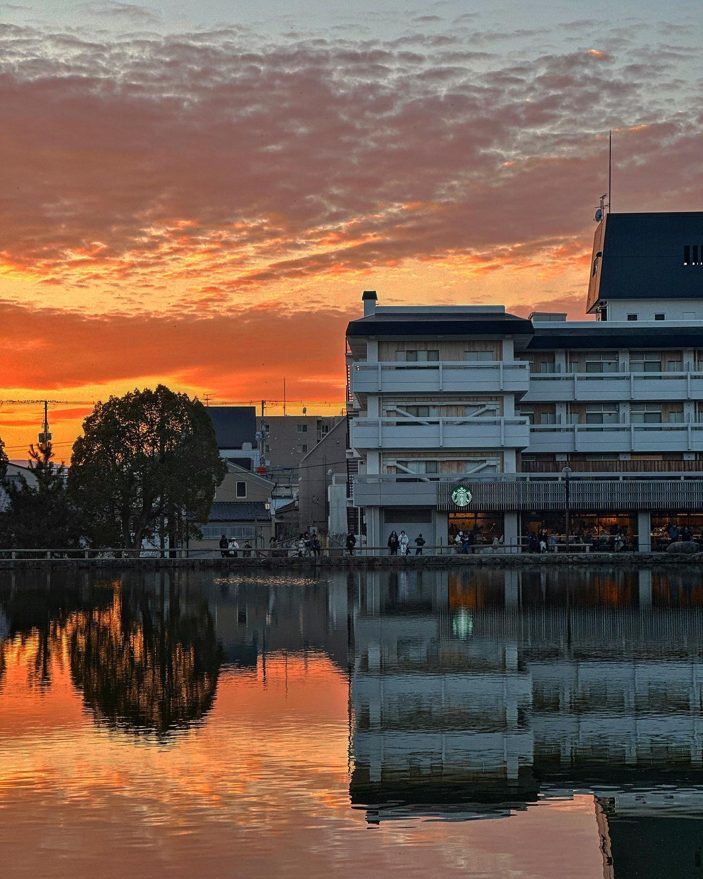 .
C’est le magnifique coucher de soleil 
que j‘ai rencontré à Kyoto, au Japon 🌅

나라 공원에서 만난 아름다운 윤슬과 노을
보는것만으로도 마음이 벅찼다. 

.
.
.
#sunset #sunsetphotography #sunglitter #kyototrip #kyotocafe #kyotostarbucks #kyototravel #japantrip #japon #japón #naturephotography #교토여행 #교토스타벅스 #교토카페 #나라공원 #narapark #narakoen #deerpark #travelblogger #좋반 #일본여행 #일본여행코스 #sunsetlovers #likesforlike