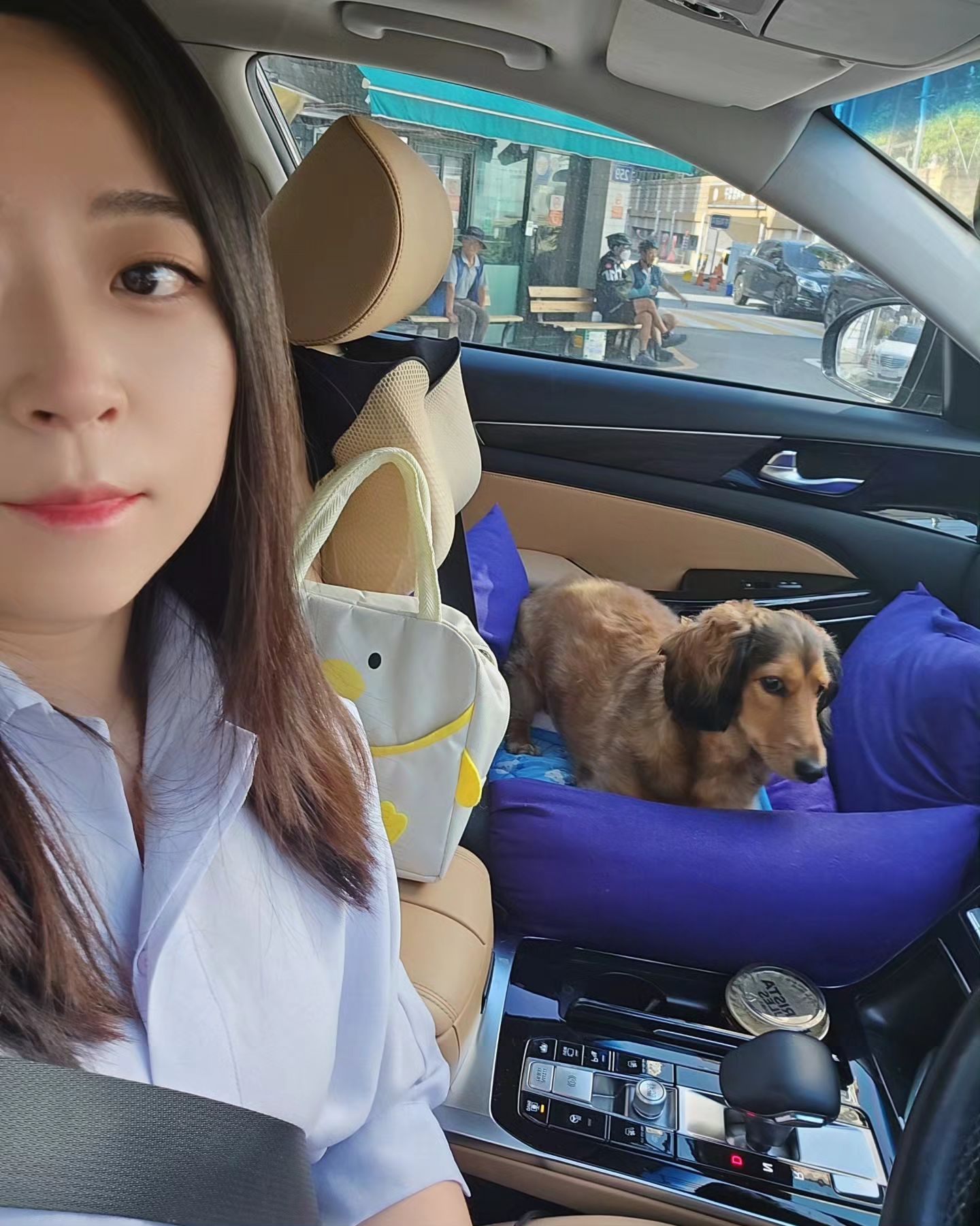 #진짜오랜만

정말오랜만에 화장도하고 출근도하고 셀카도찍어보고
구월이 등원시키기전에 구월이랑♡

지금 내 사진첩엔 구월이, 슬이사진으로 도배중
옛날엔 진짜 셀카 많이찍었던 내 사진한장이없어서..🥲
근데 구월아..엄마랑찍었을때와 유치원에서의 표정이 너무 다르지않니?
너무하네..ㅋㅋㅋㅋㅋ
.
.
.
.
#애개육아 #강아지 #닥스훈트 #셀카 #애개엄마 #육아소통 #육아 #용띠딸 #용띠맘 #출근 #일상