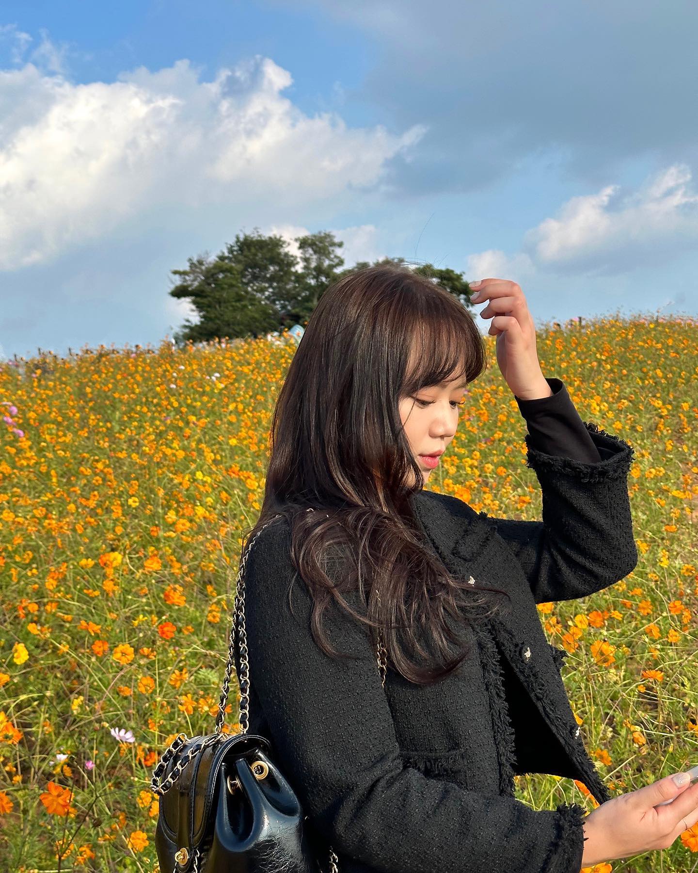 내가 좋아하는 꽃이 한가득이야💛