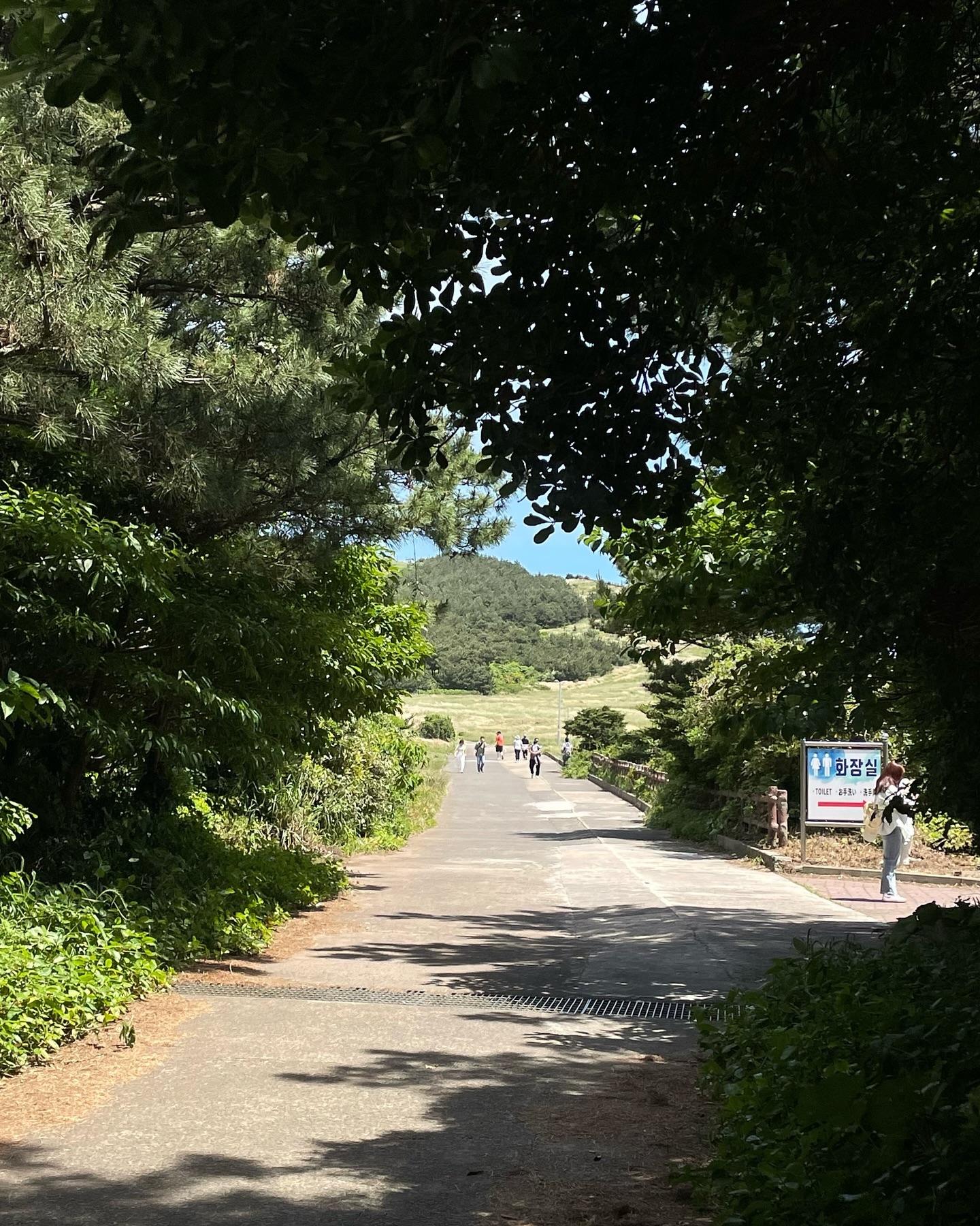 하나 확실한건 아가들은 더없이 행복했다