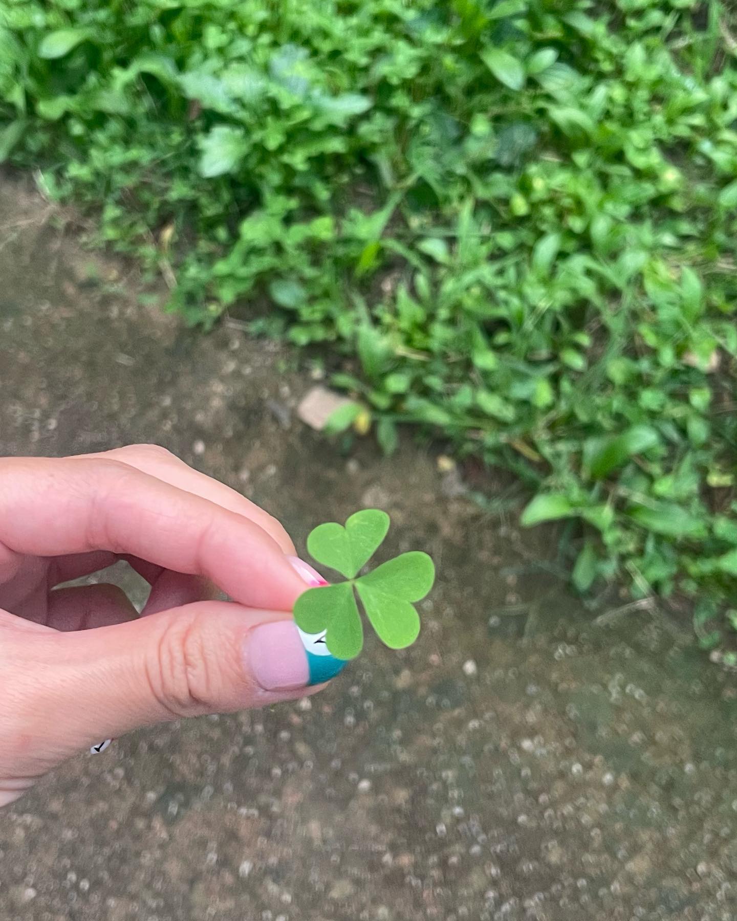 행복을 찾아서 ^^~☘️