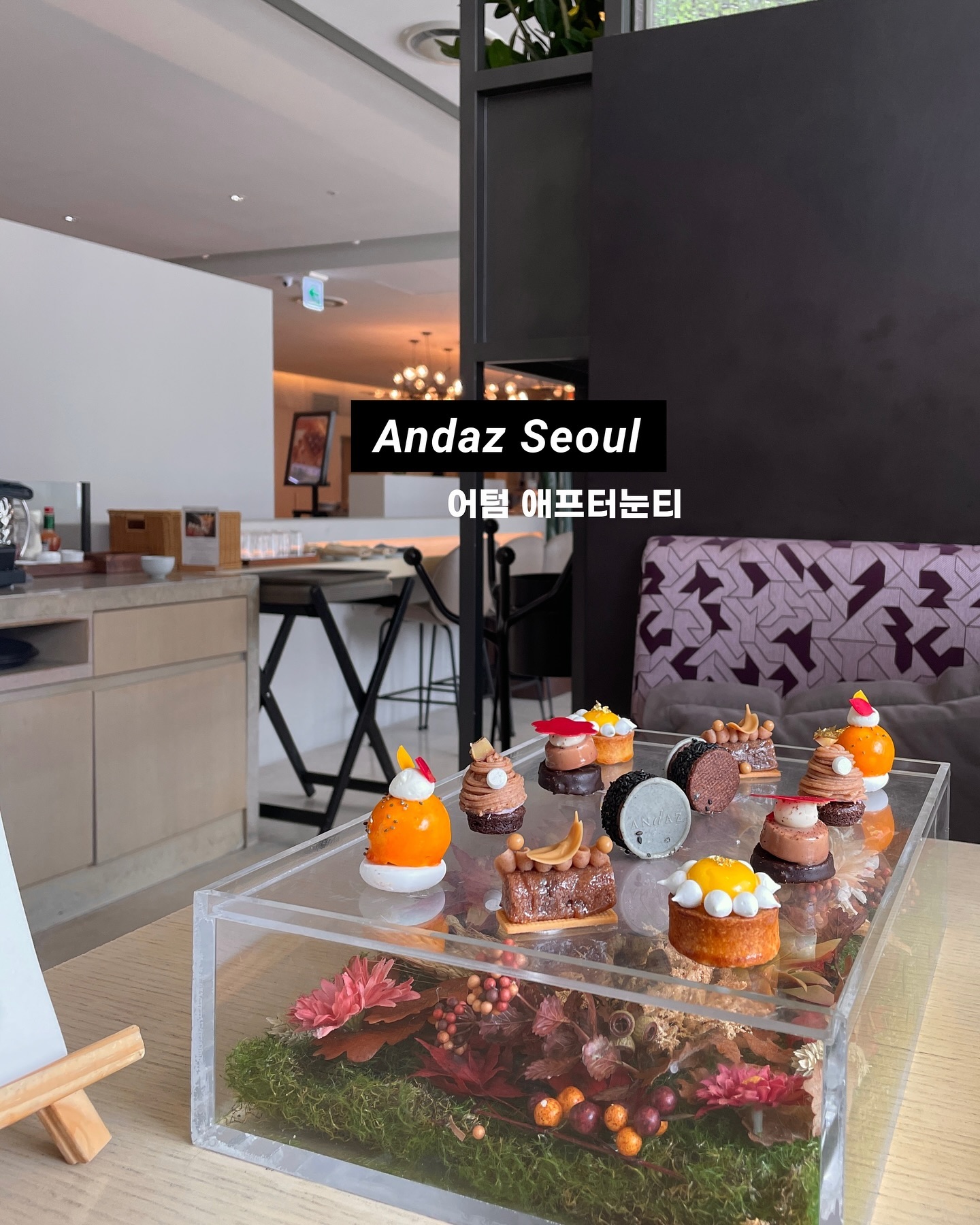 #ANDANTE

안다즈에서 즐기는 완벽한 가을 애프터눈티! 
날씨가 갑자기 선선해지니 기분이 참 좋아져요. 
저는 어쩐지 가을에 애프터눈티를 마시러 자주 나가게되는 것 같아요.
올해는 안다즈 가을 애프터눈티를 즐기러 슝 다녀왔습니다.

안다즈 애프터눈티티는 시즌마다 그 제쳘에 맞는 재료들로 메뉴들이 계속 바뀌어 선보여져요.
시그니처 드링크를 주문하고 나면 커피나 차로 리필이 계속 가능해서 솔티드밀크티와 인절미라떼를 주문!
아주 달지 않아 뒤에 나올 디저트들과 같이 먹어도 괜찮았어요.
세이보리 디시는 스콘, 버터랍스터롤, 스테리크샌드위치, 트러플크로크무슈의 구성으로 생화와 함께 예쁘게 플레이팅되어 나오는데요. 
너무 예쁘지요,, 예쁜거 최고! 이맛에 애프터눈티를 즐기지!
기분 좋게 시작했던 세이보리!

다음 디시는 스위트들,
1년 중 가을에 가장 맛있다는 밤과 감으로 만들어진 달콤이들이라 차나 커피와 마시면 더 좋겠죠? 개인적으로 밤 브라우니 진짜,, 많이 달지도 않고 진짜 촉촉했어요.

수다와 함께 어느 정도 다 먹어갈쯤 나오는 트롤리엔 큰 초콜렛 산이 보이는데요.
바로 앞에서 저 초콜렛산을 녹여 브라우니 위에 마스카포네크림과 같이 뿌려 만들어주셔요.
이런 조합은 언제 먹어도 GOOOOOOD!
특히 다른 호텔들보다 애프터눈티를 즐길 수 있는 시간이 길어 여유롭게 있다 올 수 있어 좋았어요.
보는 재미 먹는 재미까지 완벽했던 안다즈 호텔 바이츠 앤 와인 애프터눈티 즐기기 후기였어요.

안다즈 호텔 바이츠 앤 와인 [애프터눈티 세트]
📍서울 강남구 논현로 854 안다즈 서울 강남 2층
⏰오후 12시 ~ 오후 5시

안다즈 서포터즈 2기로 호텔로부터 상품을 제공받아 작성된 후기입니다.

#안다즈 #안다즈서울강남 #안다즈서포터즈 #wheninadnaz #Andaztasty #호캉스 #강남호텔 #압구정호텔