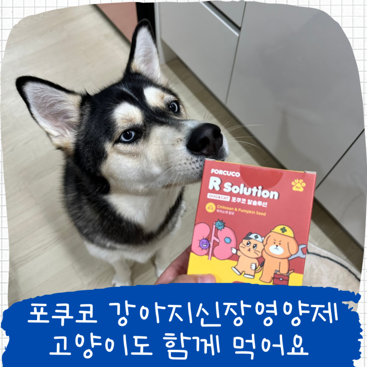 포쿠코 강아지신장영양제, 고양이도 함께 먹어요