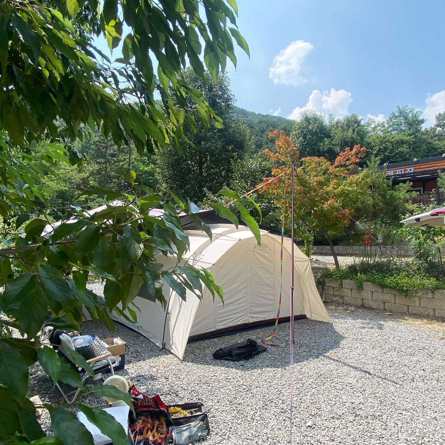 #유_유네캠핑
59th #자연숲캠핑장(24.08.03~08.04) 🥵