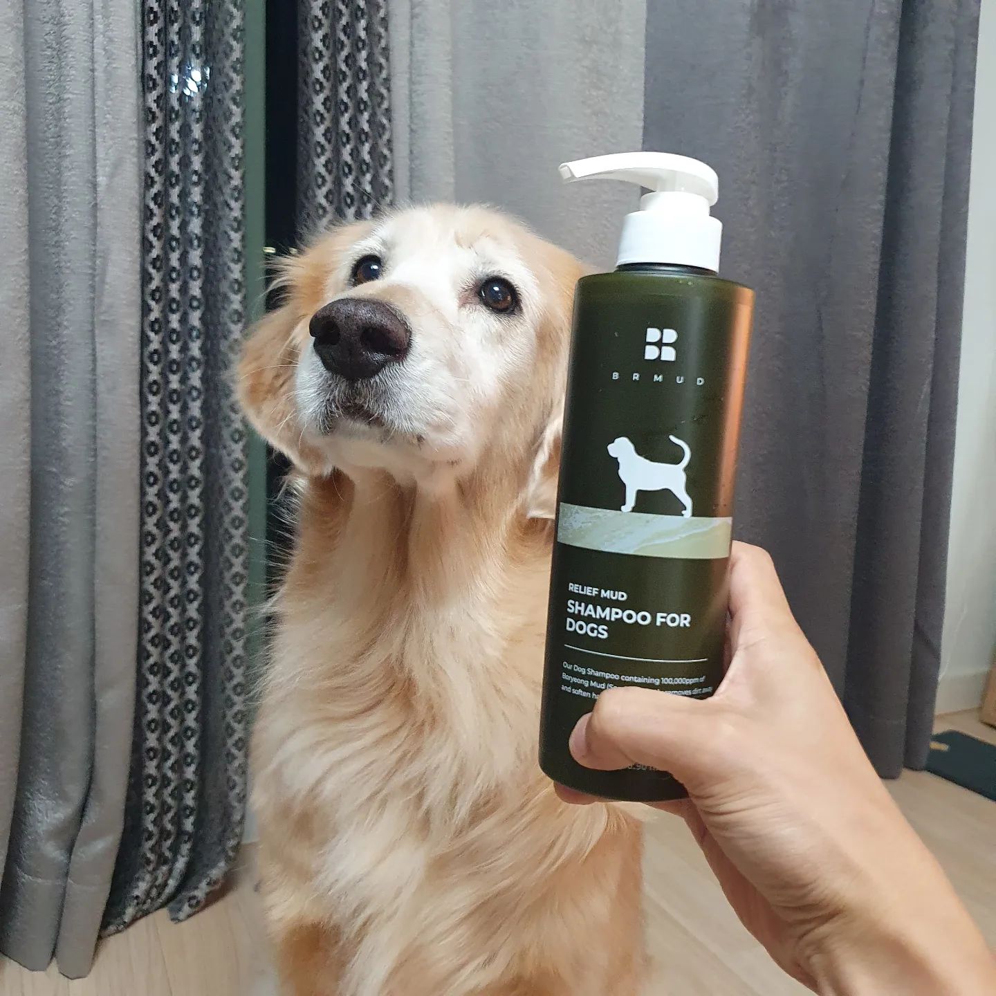 #협찬 #비알머드 

🐶 피부엔 비알머드 강아지샴푸 추천합니다♡

 ➡️ 제품은 20ml, 500ml 두개 제품이구요!  작은것은 여행용 큰것은 집에서 사용하면 좋을것같아요! 여행용까지 챙겨주시는 센쓰

 ➡️ 샴푸 & 머드팩을 동시에 가능한 2in1 강아지 보령머드팩 샴푸여서 애견샵을 가지않아도 견주님이 쉽게 케어가 가능하다는점! 

 ➡️ 해외 머드가 아닌 미네랄과 유익성분이 가득한 100% 보령머드가 10%나 함유되어 있어서 걱정 없이 케어가 가능하고,
진흙탕을 좋아하는 강아지들에게 놀이가 될수도 있고 피부케어도 되니깐 일석이조!

 ➡️ 강아지는들은 사람 피부보다 더 얇고 민감한 반려견의 피모에도 걱정많은 견주님들 계시는데요! 실리콘, 설페이트, 파라벤 등
화학적 계면 활성제 및 주의성분을 배제하여 착한 성분으로 이루어져 있어 안심하고 사용하시면 될것같습니다!

 ➡️ 자연 유래 96.24% 성분으로 전성분 EWG ALL GREEN 등급 (2022. 06. 29 기준)을 받았으며, 사람보다 후각이 예민한 강아지들에게
인공향료를 쓰지 않아 순하고 안전해요!

 ➡️ 피모 자극 및 트러블로 고통받는 강아지에게 효과적이며, 사용 후 피모 스트레스를 줄여준다고 해요!

 ➡️ 식물성 단백질 콤플렉스 및 특허 허브 콤플렉스를 함유해서 목욕 후 마무리감까지도 신경 쓴 제품이예요!

➡️ 11월 11일부터 카카오 메이크스샵에서 최저가 판매한다고 합니다!

#보령머드강아지샴푸 #강아지머드팩 #강아지약용샴푸 #순한강아지샴푸 #강아지피부병
#강아지머드샴푸 #보령머드팩 #애견샴푸 #반려동물 #BRMUD #보령머드 #강아지샴푸 #강아지샴푸추천 #강아지목욕 #강아지머드팩 #머드팩 #강아지목욕맛집 #강아지일상 #강아지그램 #dogshampoo #dogCommunity #fluffydogs