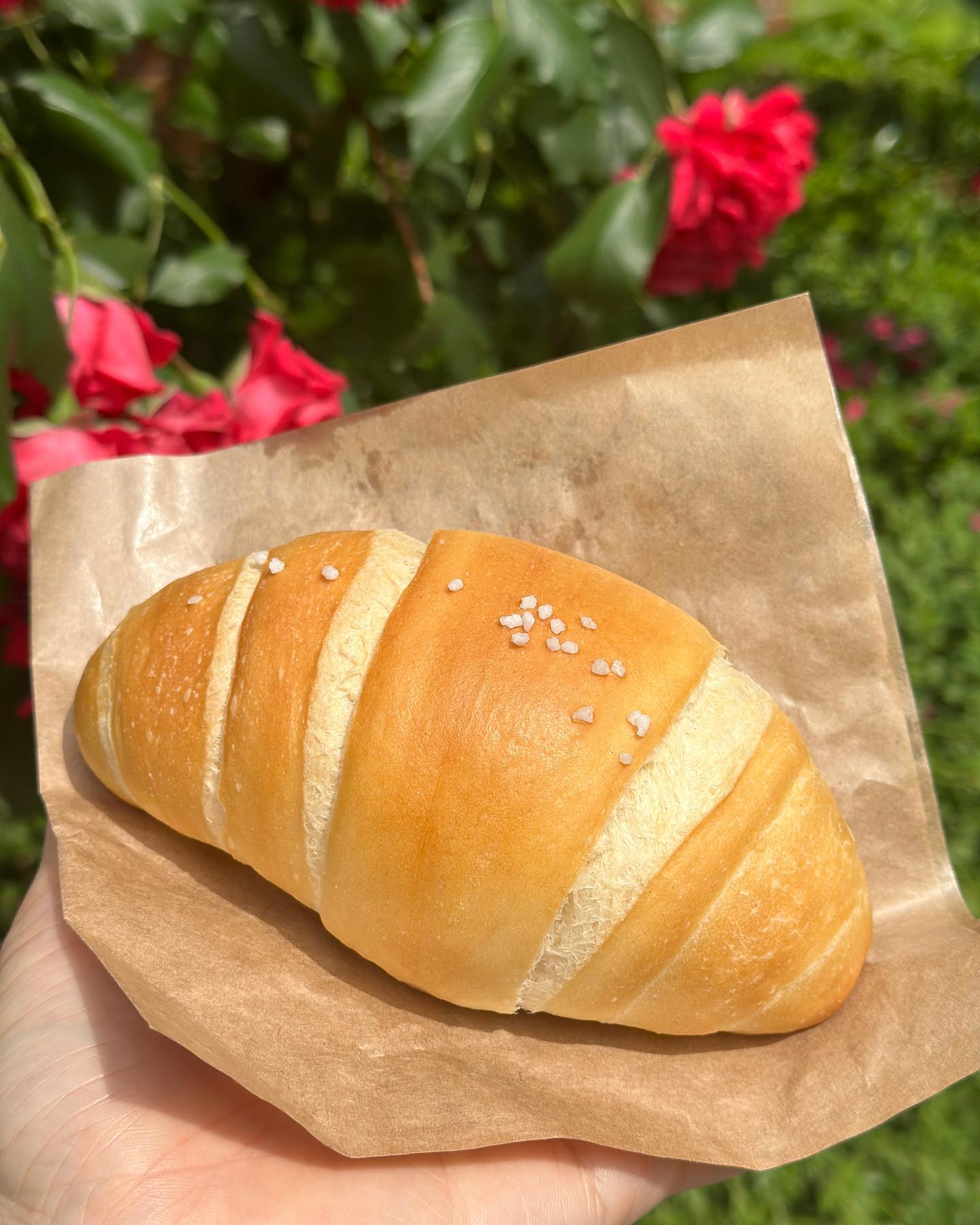 장미말고 소금빵 찍으러 왔단다🥐
#길음동빵집 #비블 #내돈내먹

새나라에 어른이는 눈뜨자마자 문득,
소금빵이 먹고 싶어…….

무작정 네이버지도에 소금빵 검색하고 토끼세수💦 출발~🚶‍♀️

✔️유기농 밀가루, 천연발효종 사용
✔️소금빵 2,800(3개사면 8,000)
✔️버터도 좋은거 쓰는거 같아요~

내부는 테이블 2개로 협소한 흔한 동네 빵집이라 테이크 아웃했어요.

집까지 오는 길에서 결국 못참고 한입 베어무는데…

어머…..🥹

깨물자마자 바삭한 빵피 안 버터풍미가 촥 퍼지는데…
이건 빨리 소문내야해!

동네사람들! 어서 가세요!
1개 사지말고 3개사면 더 싸요!📢

그냥 먹고 싶어서 바게트, 치아바타도 겟
특히 치아바타는 아묻따 그런거 하지말고 담아오세요. 😭

크림빵, 케이크 이런 종류는 없지만 담백한 빵 먹고 싶으면 강추!

📍비블
월-토 11:00~20:00
일욜 휴무
서경대 밑 길음뉴타운 11단지 롯데캐슬 상가 안쪽

#길음빵집 #서경대빵집 #길음뉴타운빵집 #길음소금빵
