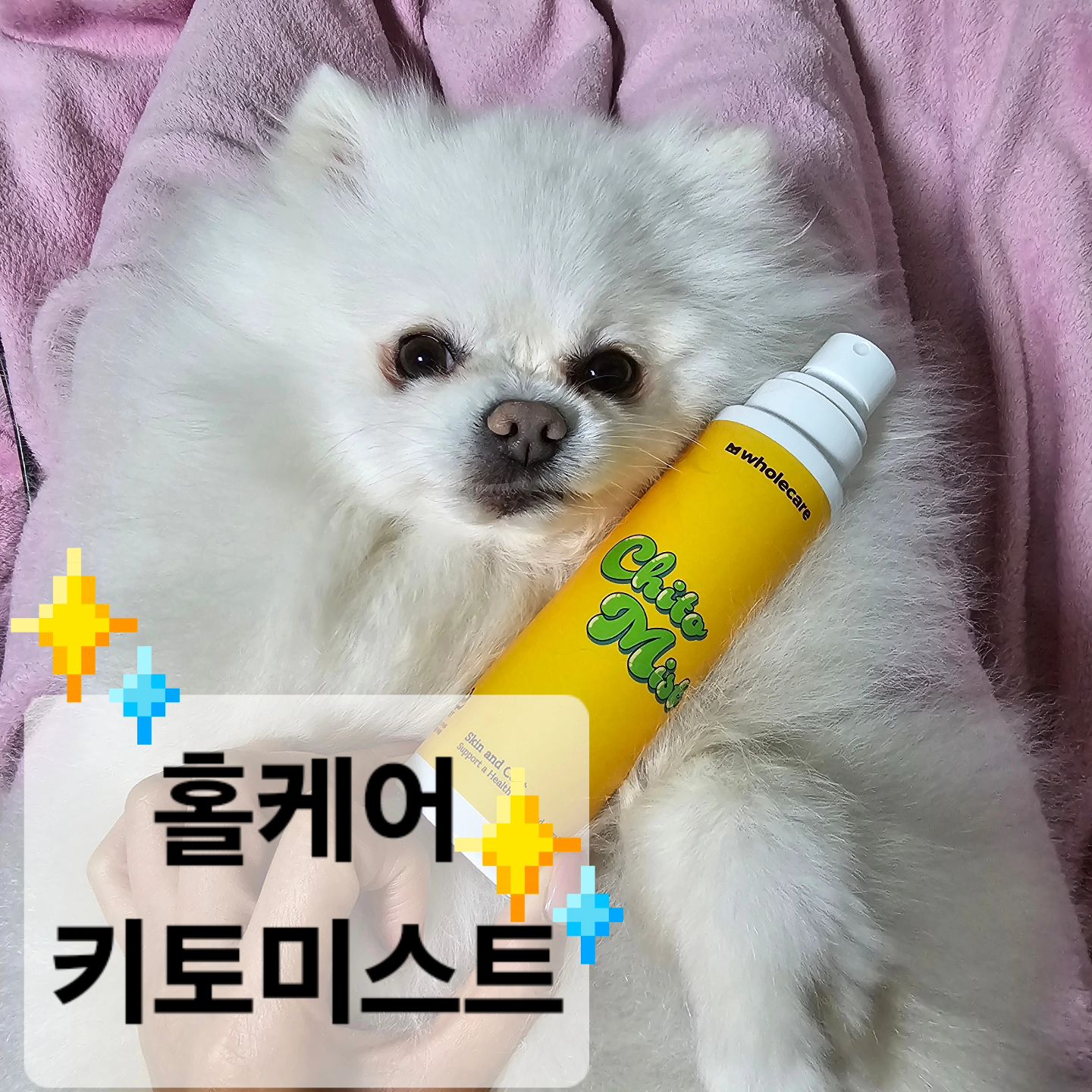 #협찬

 이중모 강아지들은 털 빗을 때 미스트 필수잖아 
자극없이 안전한 성분으로 만들어진 홀케어 키토미스트를 사용해 봤어 🤍

✔️탈취
✔️항균
✔️항염
✔️항바이러스
✔️세정 
강아지 털 관리를 한번에 할 수 있어 🤍

🤍 안전한 식물성 성분으로 만들어졌어 ! 거기에다 무향이라 자극적이지 않아서 좋아

🤍초미세 안개분사 펌프가 장착된 미스트라서, 뿌려도 반려동물이 놀라지 않고,한 곳에 뭉치지 않고 골고루 분사되서 좋아

🤍벤처기업확인, ISO 인증된 자체 제조시설에서 검증된 연구결과에 맞춰서 엄격한 품질관리까지 거쳐서 만들어졌어 

성분도 분사력도 무향인 것까지 다 좋아서, 호불호없이 누구나 좋아할 강아지미스트야 🤍

성분좋은 강아지미스트 찾고 있다며 홀케어 키토미스트 추천 🤍

홀케어🤍
wholecare_official

https://link.coupang.com/a/bkRVI0

#홀케어 #강아지미스트 #고양이미스트 #강아지탈취제 #애견미스트 #반려동물탈취제 #강아지보습제 #고양이보습제 #고양이발바닥보습 #강아지보습 #강아지냄새 #고양이탈취제 #애견탈취제 #고양이냄새제거 #강아지냄새제거 #고양이냄새