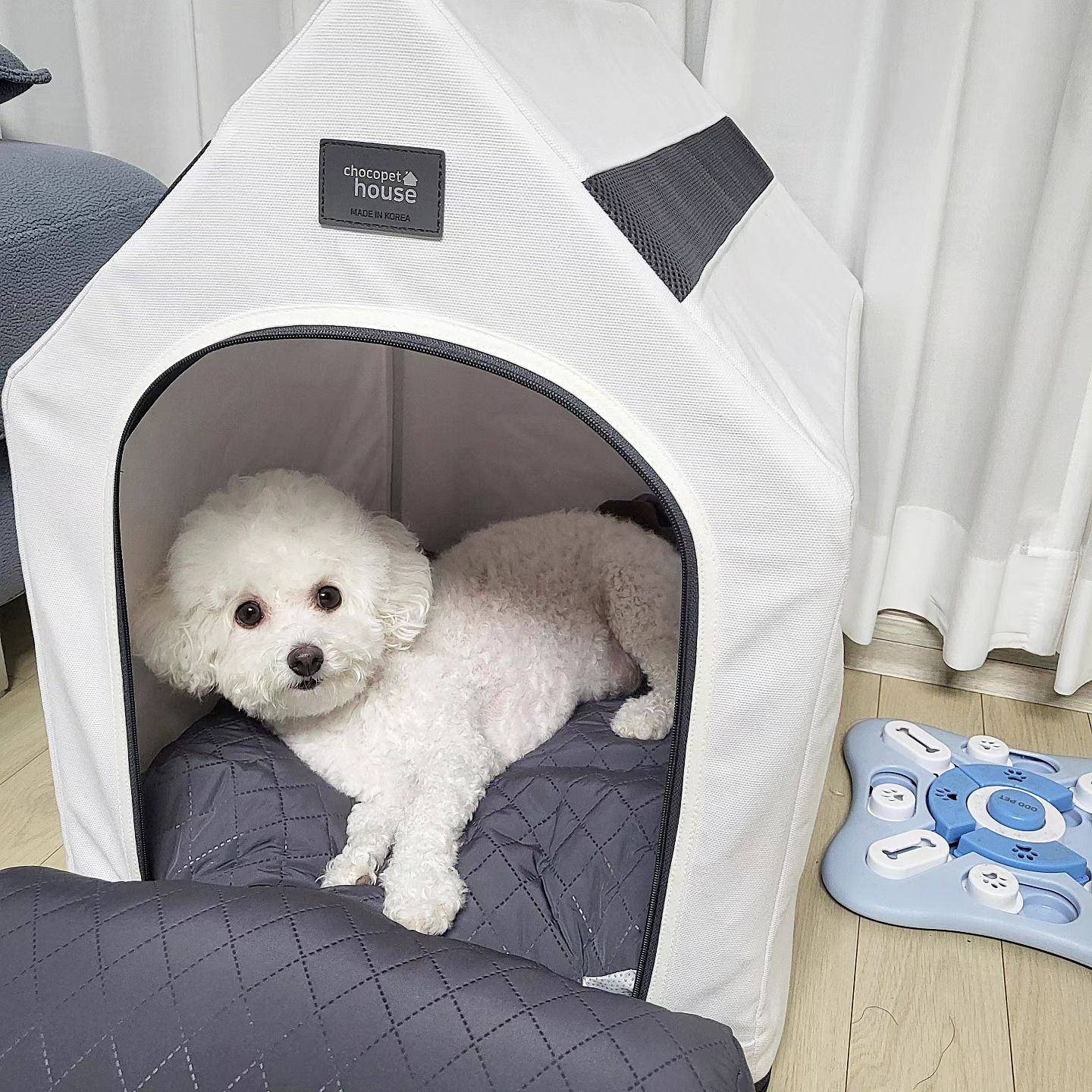 #협찬 

나 이사했따~
우리집 어떤데~🏠

몽바 애기때 처음 산 집도 초코펫인데 
이번에 나온 새집은 더 좋다 !! 
평소엔 방석으로, 멍빨 후엔 타올면베드로~
놀땐 노즈워크매트로 🩷

🏷#몽바사용 : chocopethouse #초코펫하우스 #에브리데이하우스 4.0 드라이룸 (하우스+방석+타올면베드+노즈워크매트)